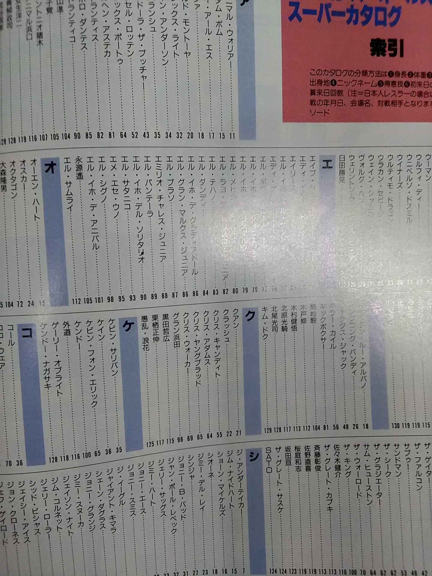 Gong Special Issue 95 Pro Wrestling All-Star SUPER Catalog