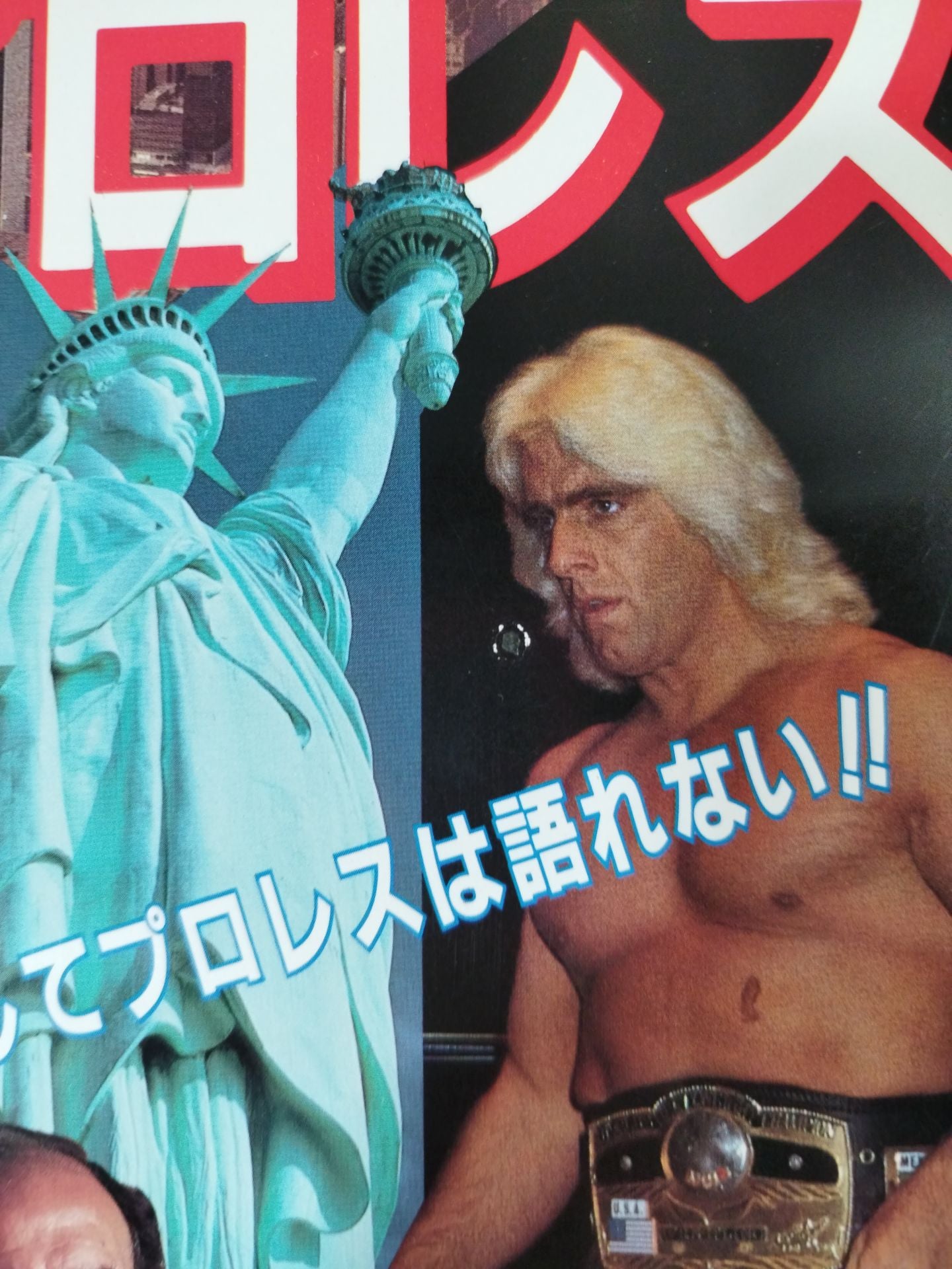 ゴング増刊号 アメリカン・プロレス~ゴング・ベスト・アルバム・シリーズ⑧~