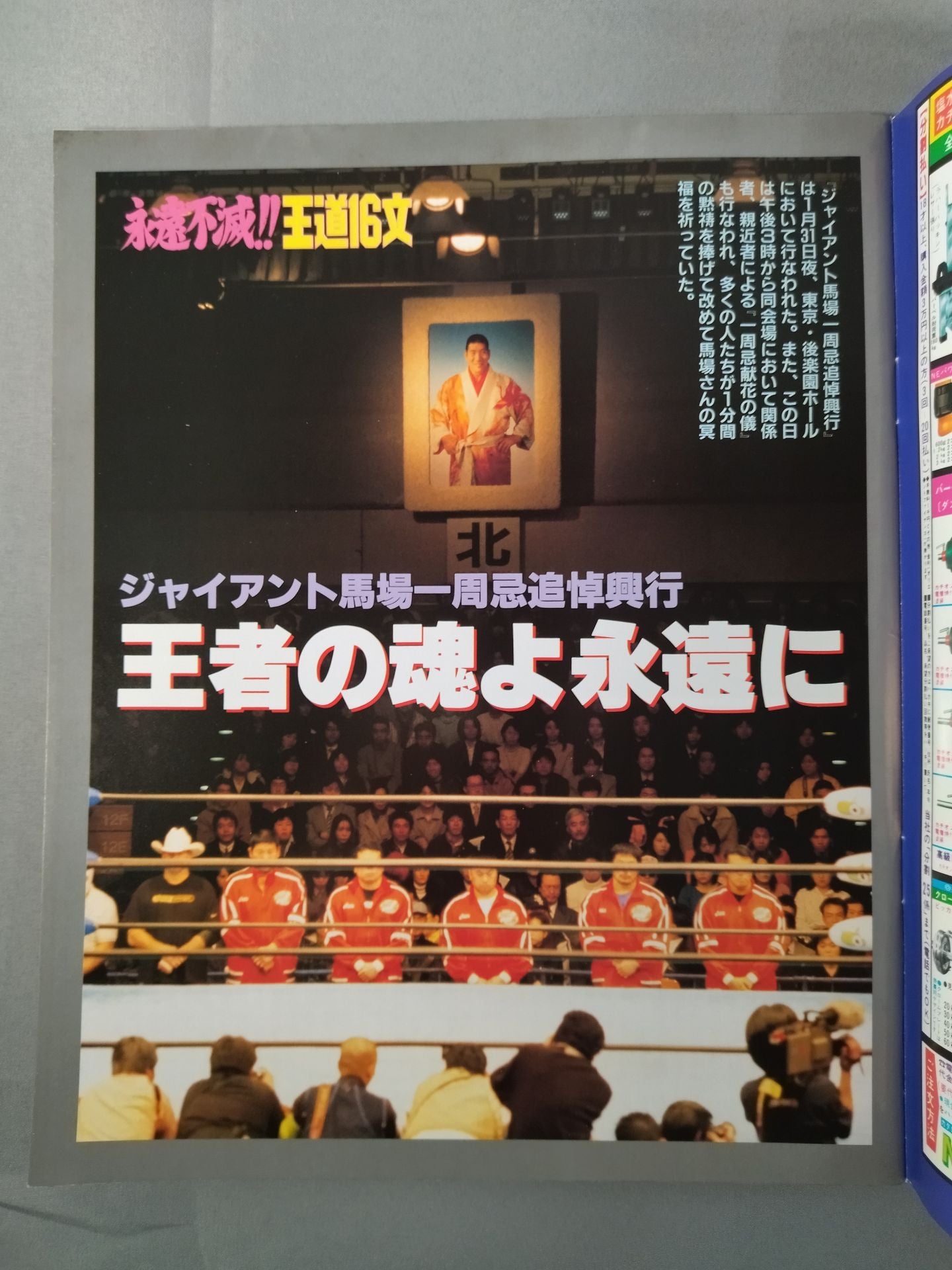 ゴング増刊号 永遠不滅!! 王道16文 ジャイアント馬場一周忌