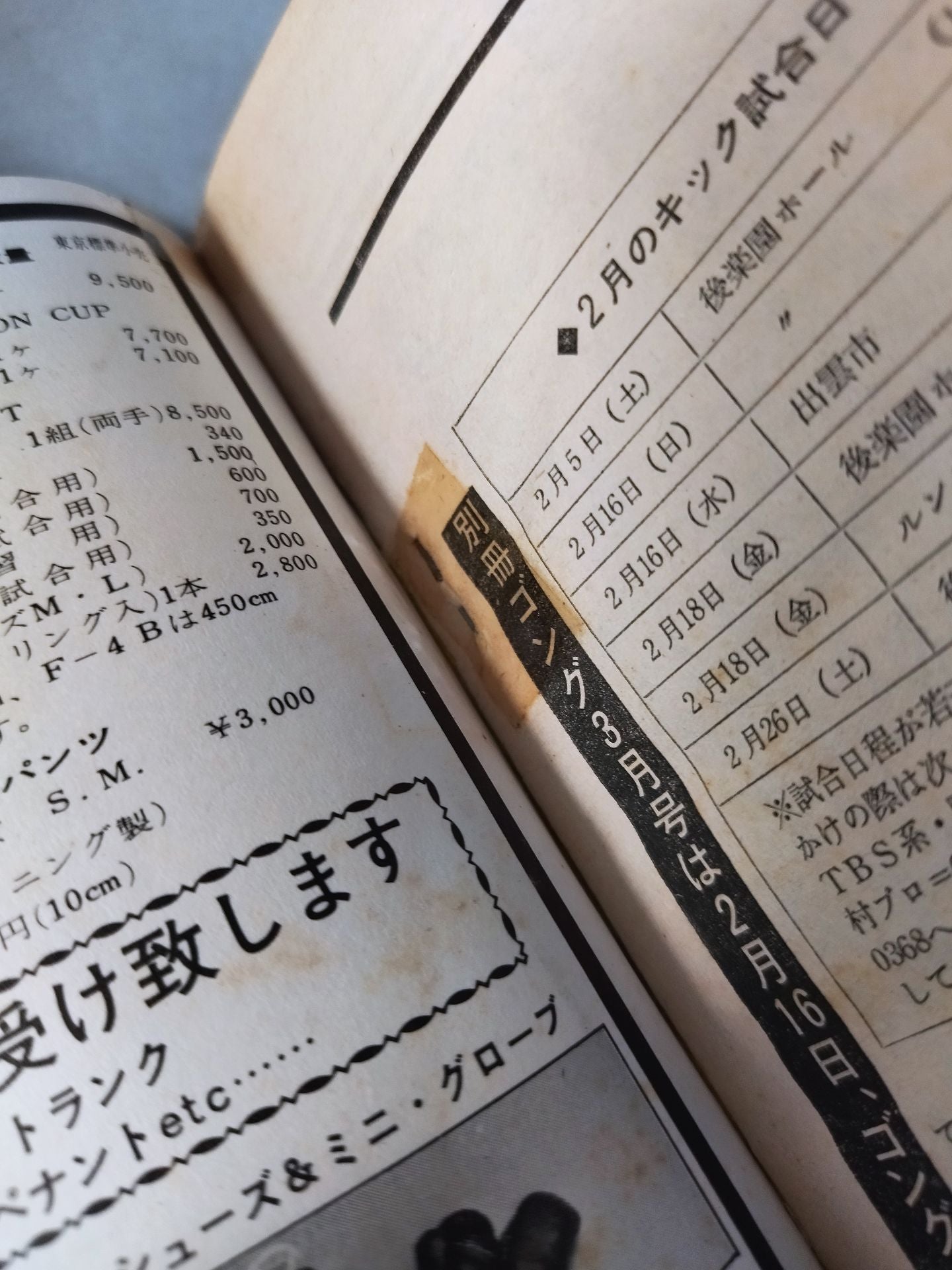 月刊ゴングVol.10 No.4