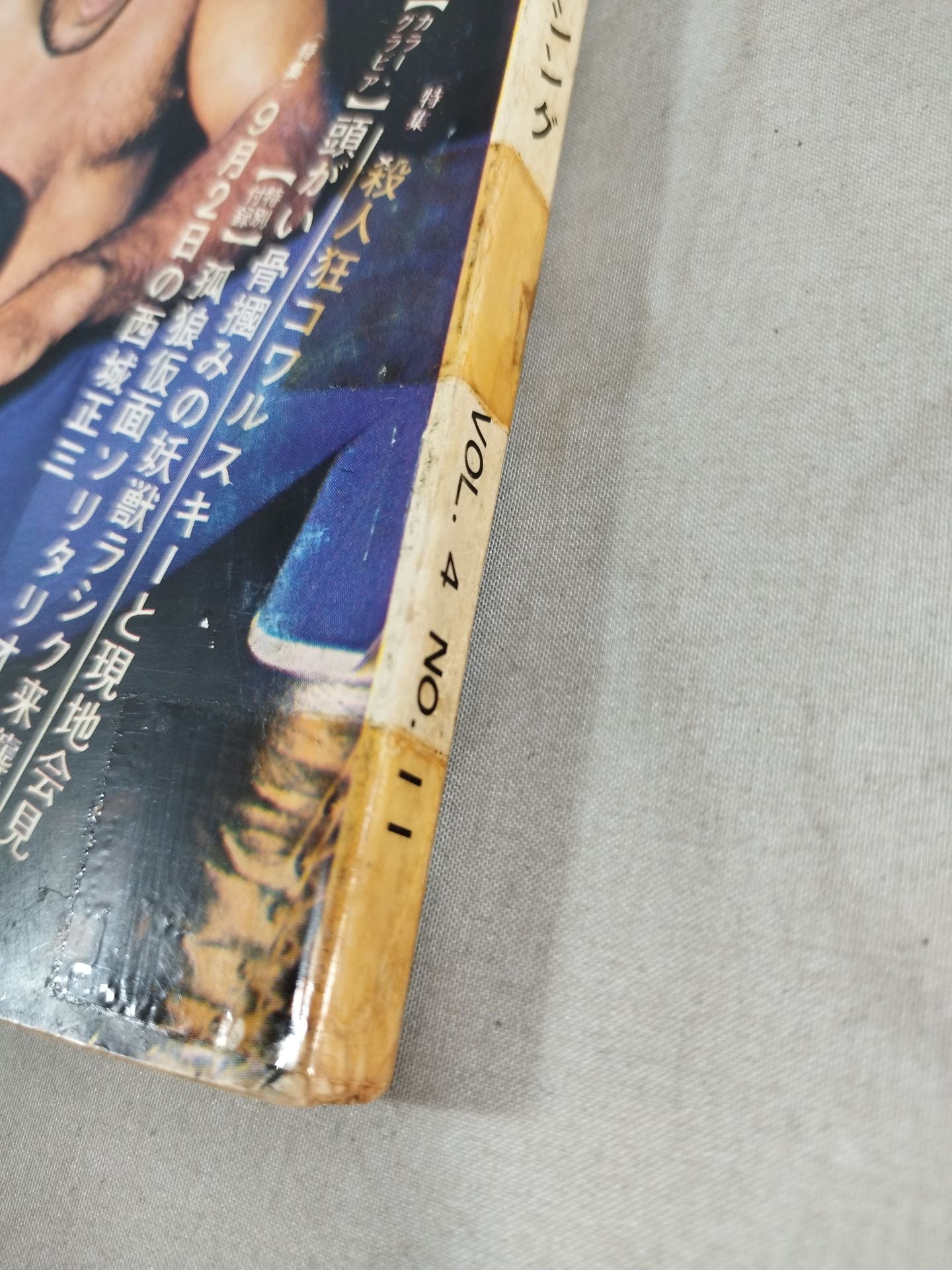Monthly Gong Vol.4 No.11
