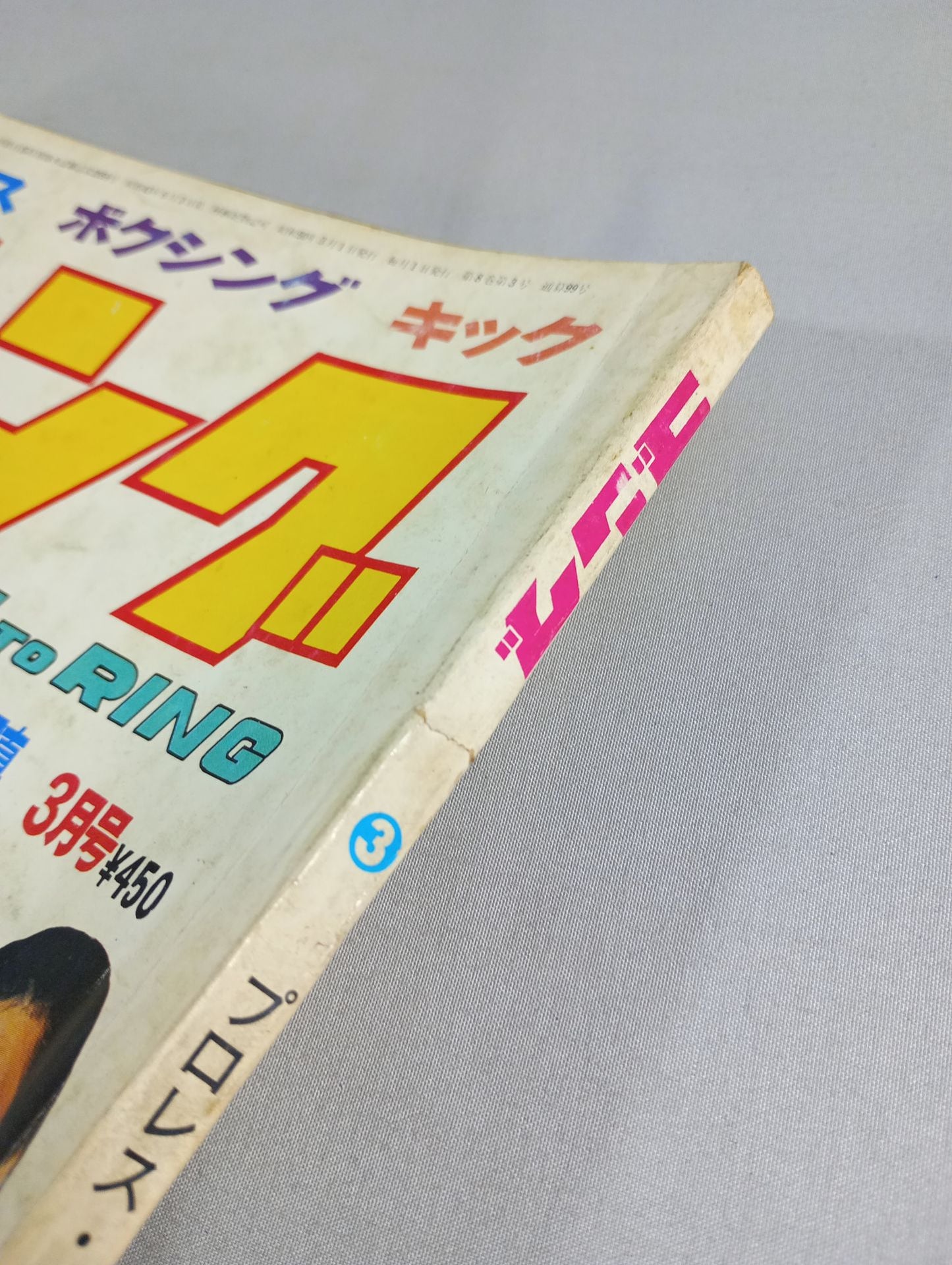 月刊ゴングVol.8 No.3
