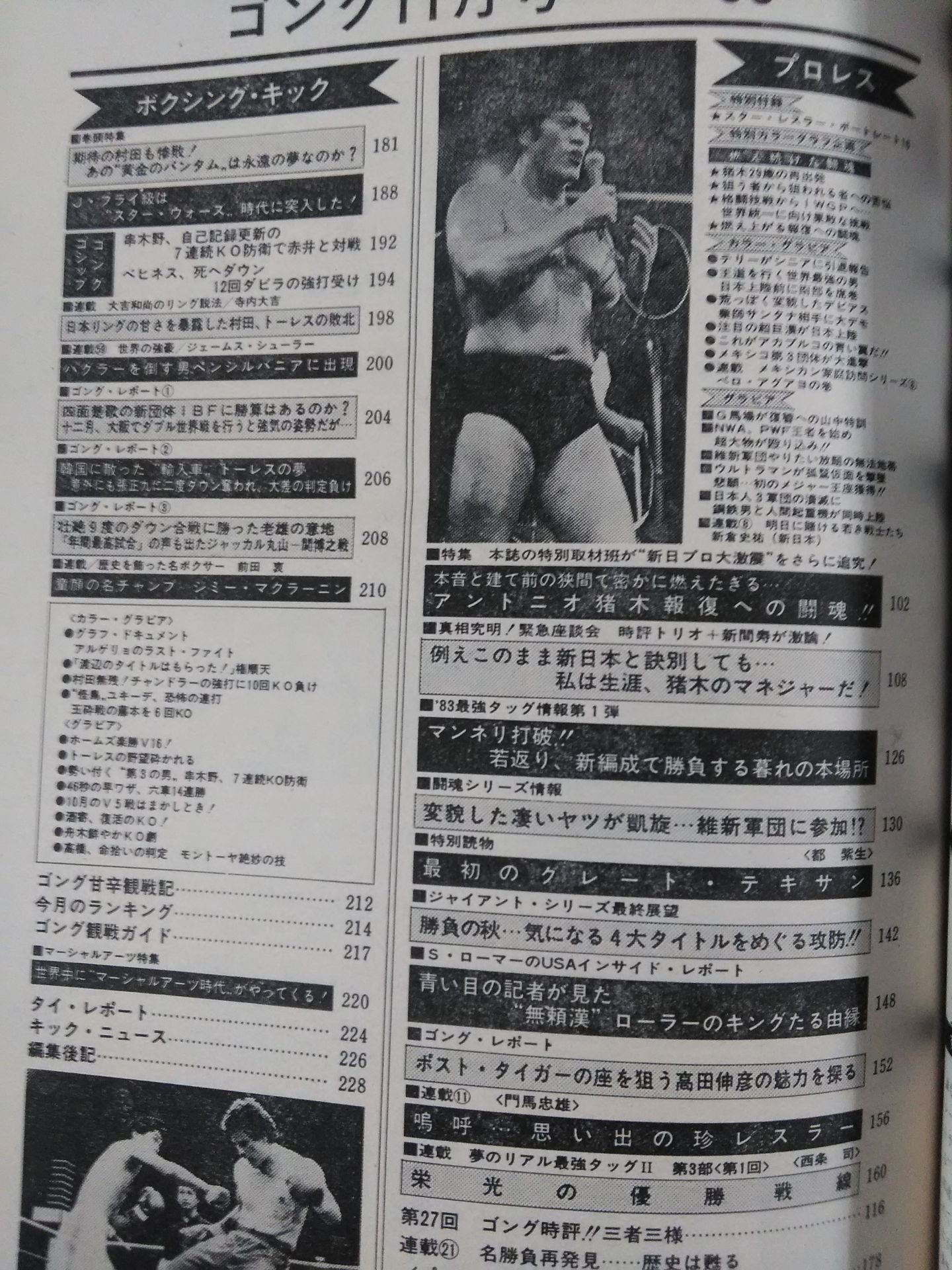 月刊ゴングVol.16 No.11