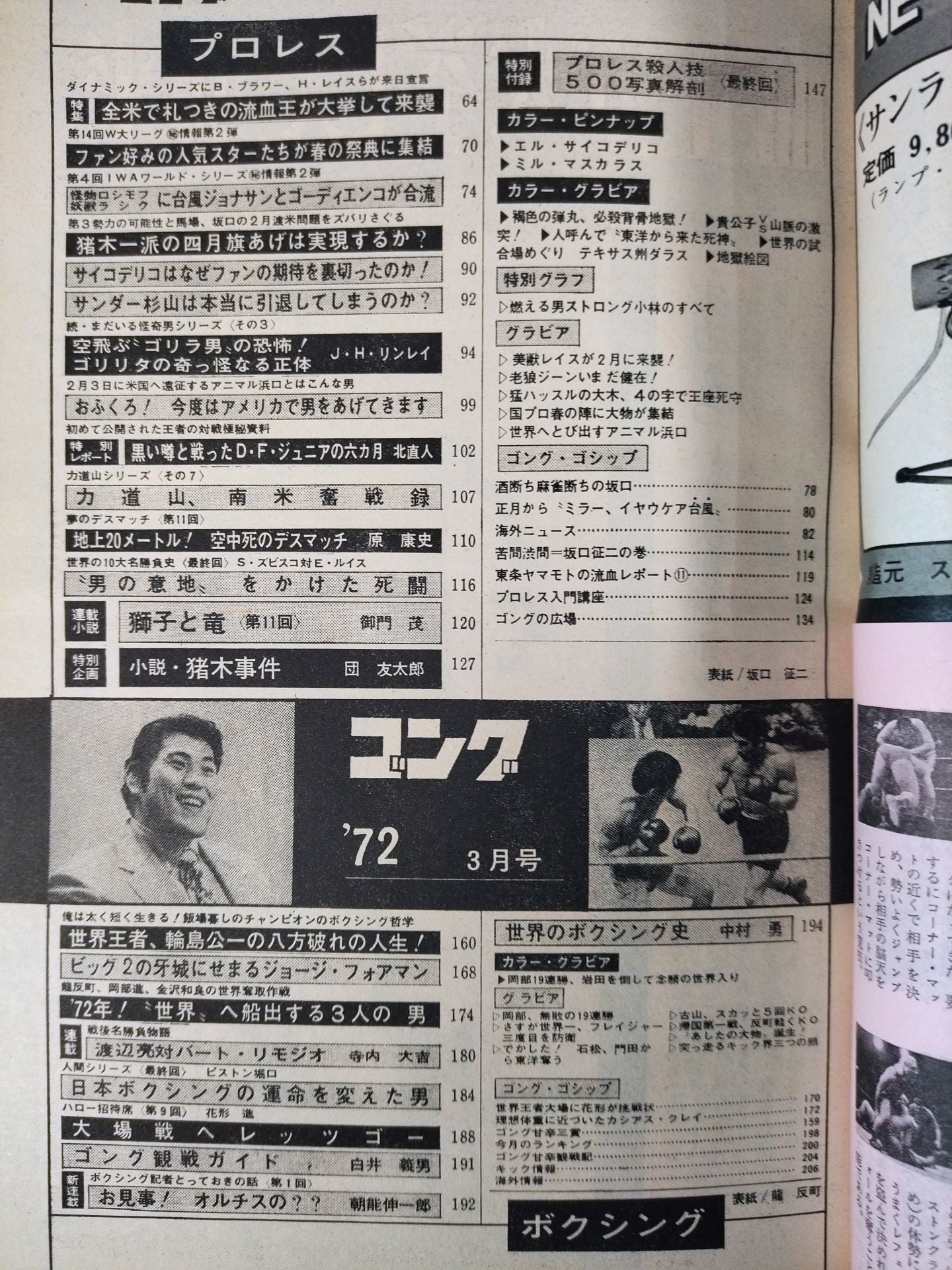 月刊ゴングVol.5 No.3