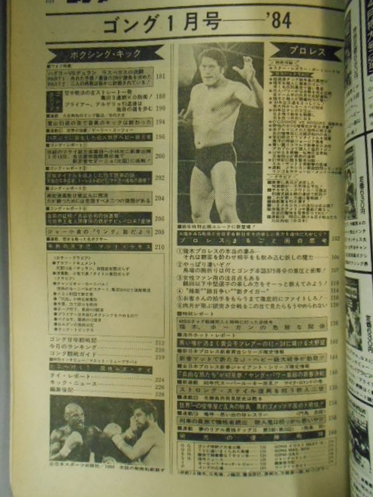 月刊ゴングVol.17 No.1