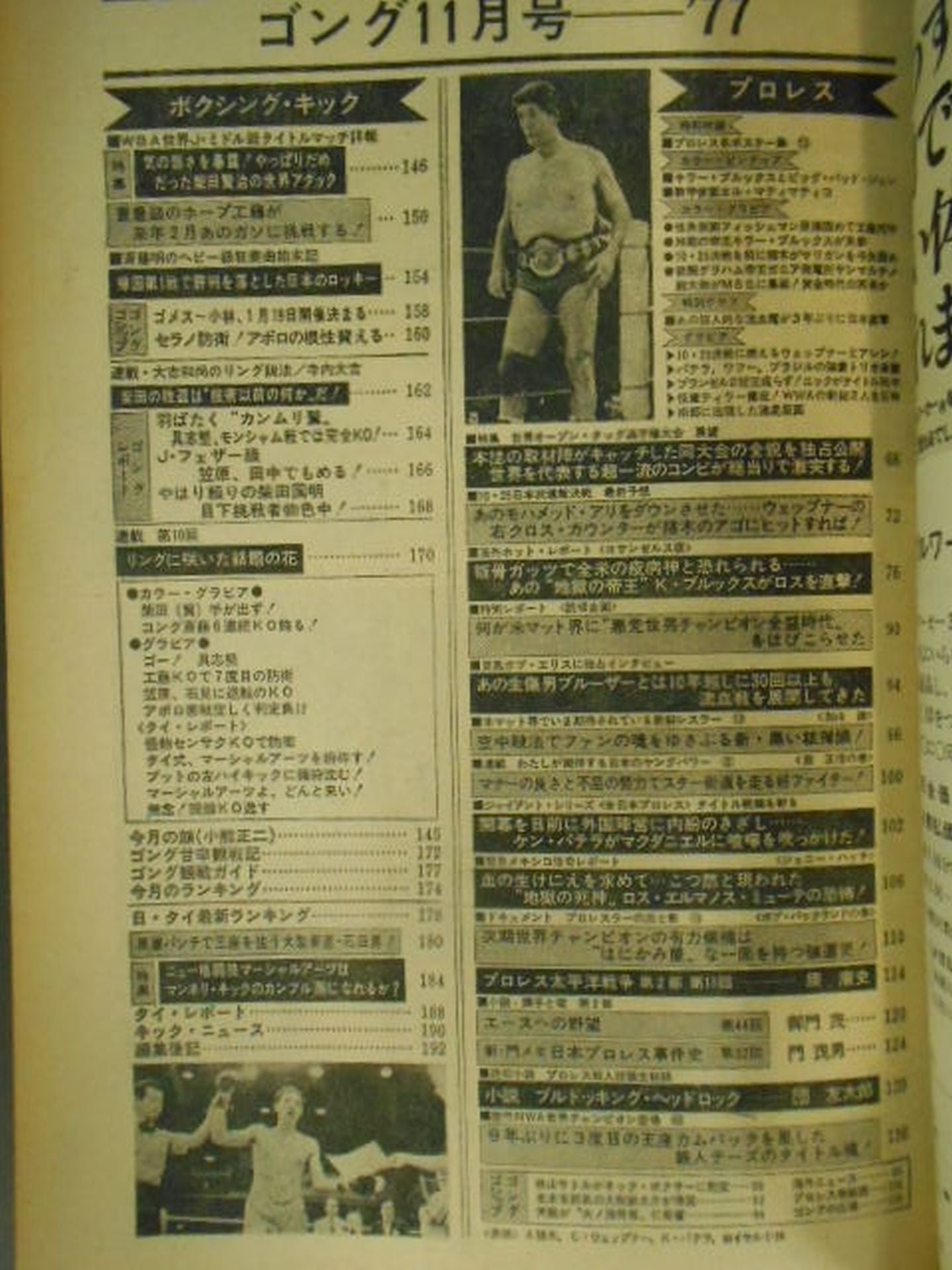 月刊ゴングVol.10 No.16