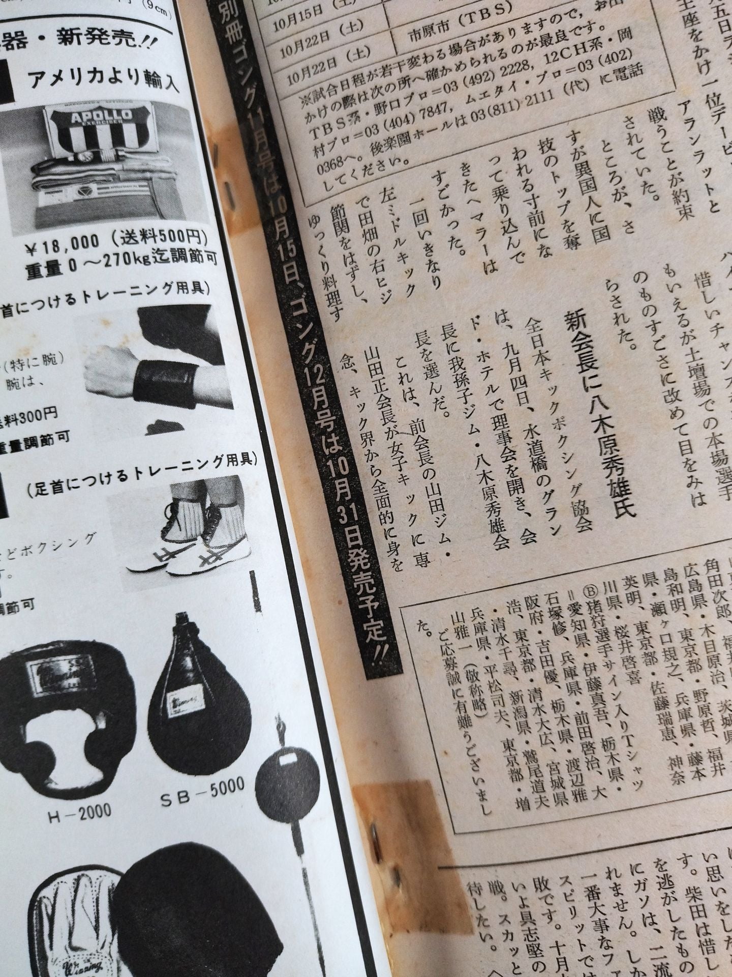 月刊ゴングVol.10 No.16