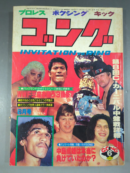 月刊ゴングVol.13 No.6