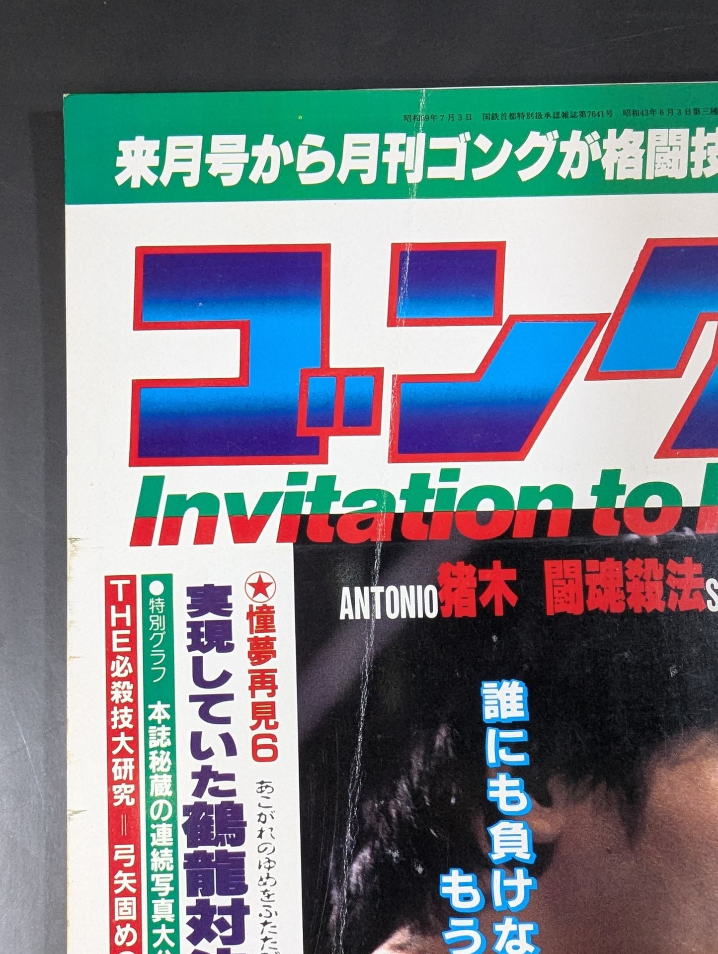 月刊ゴングVol.19 No.11