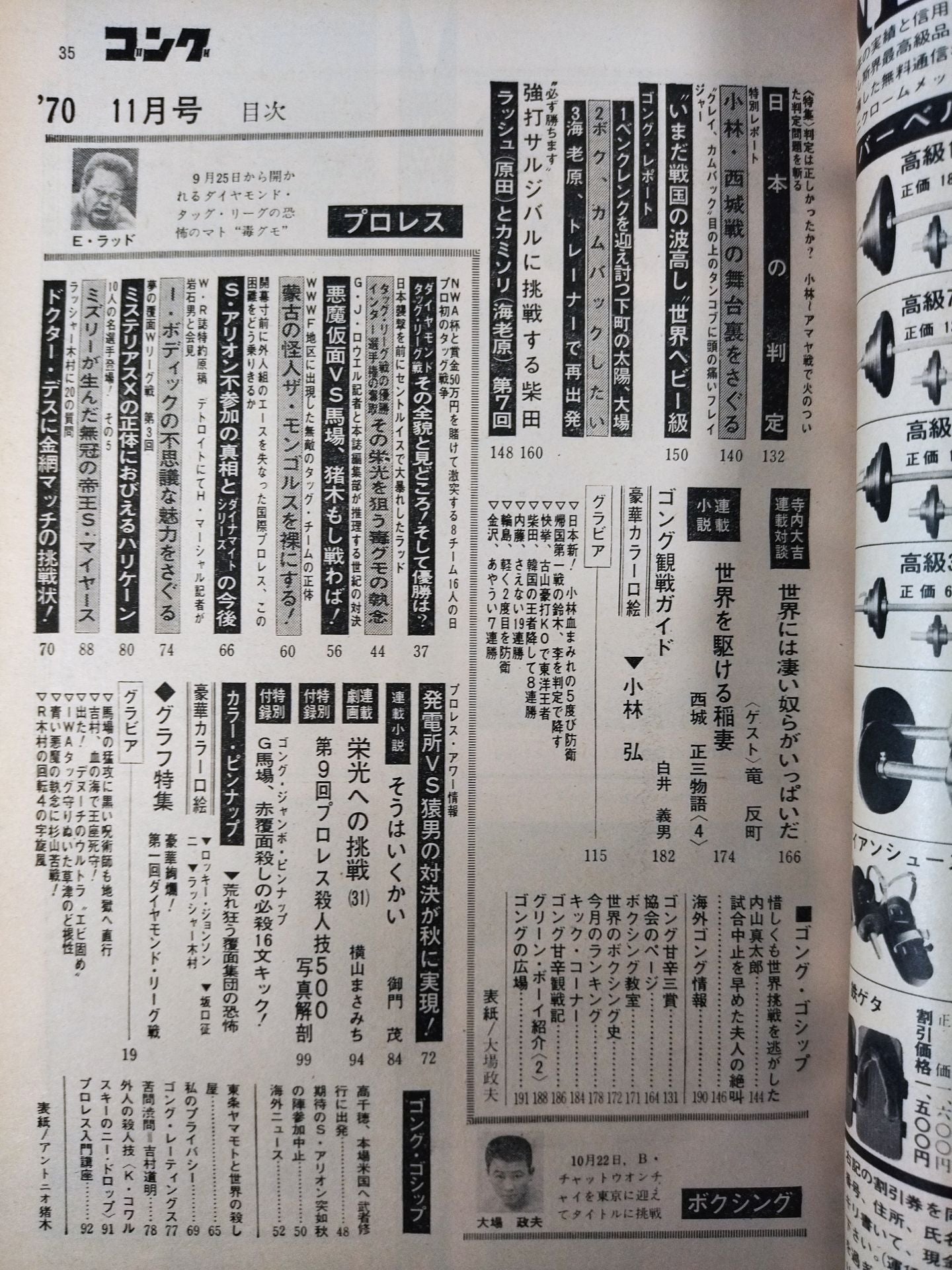 月刊ゴングVol.3 No.13