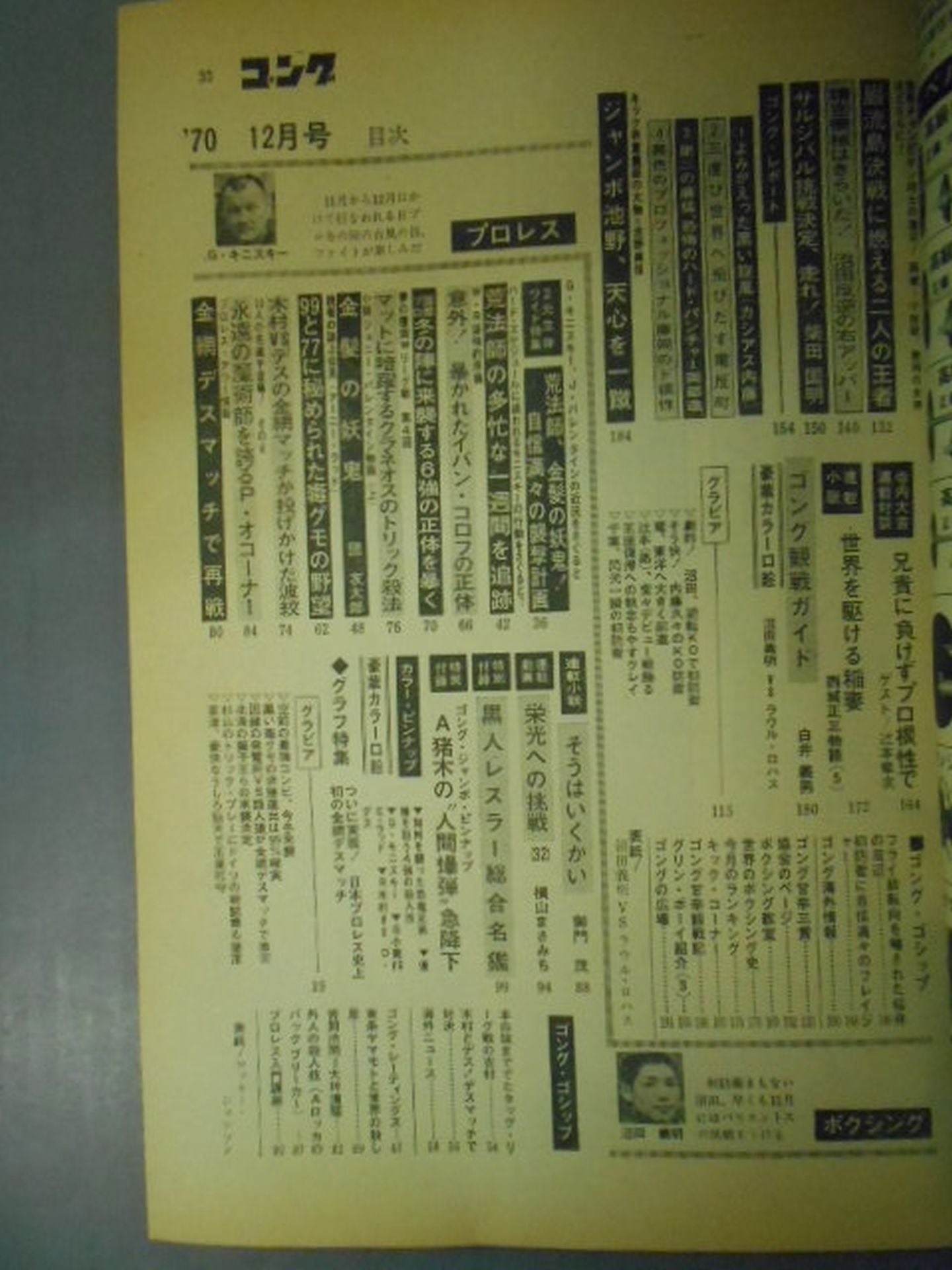 月刊ゴングVol.3 No.15