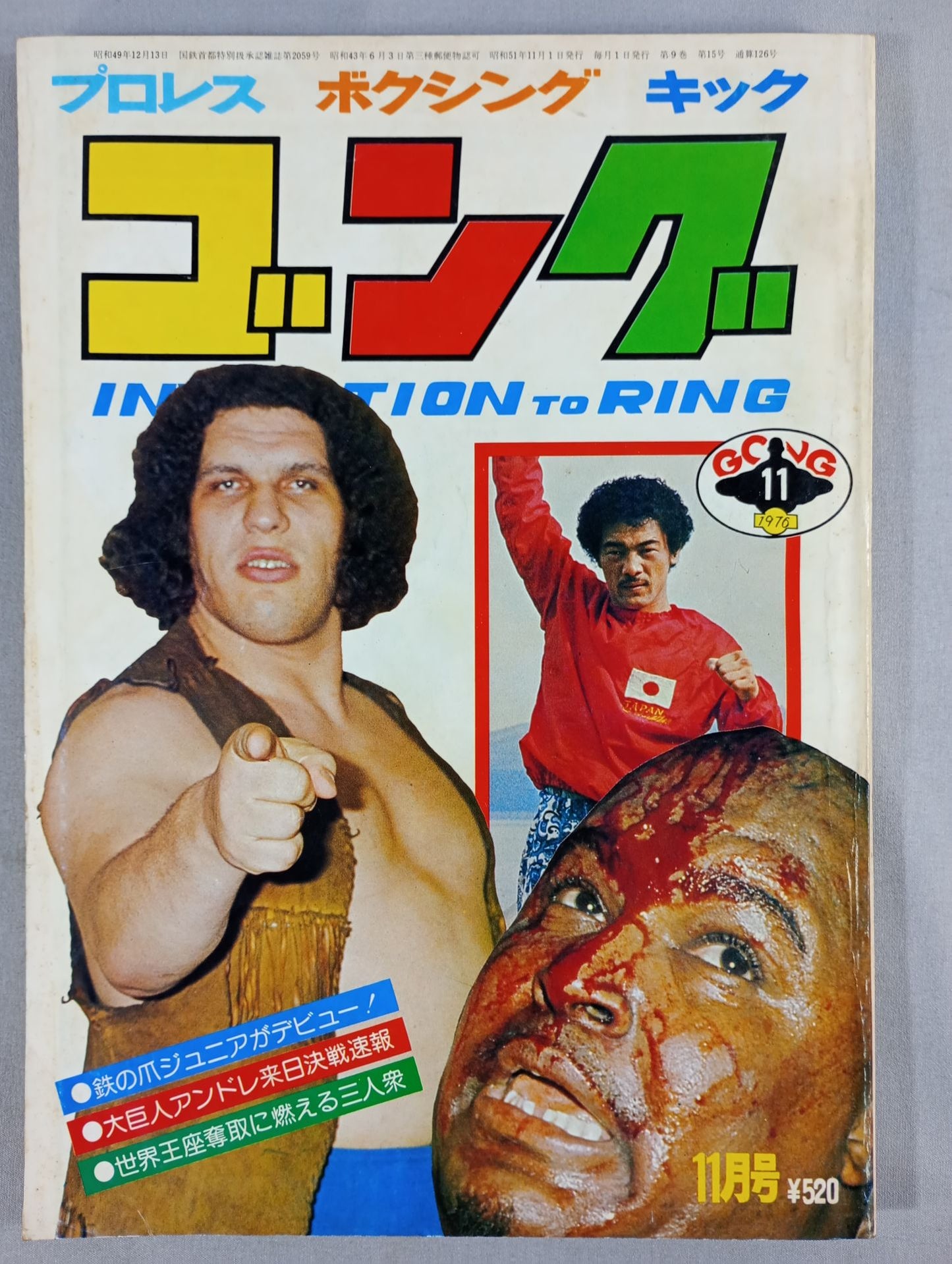 月刊ゴングVol.9 No.15