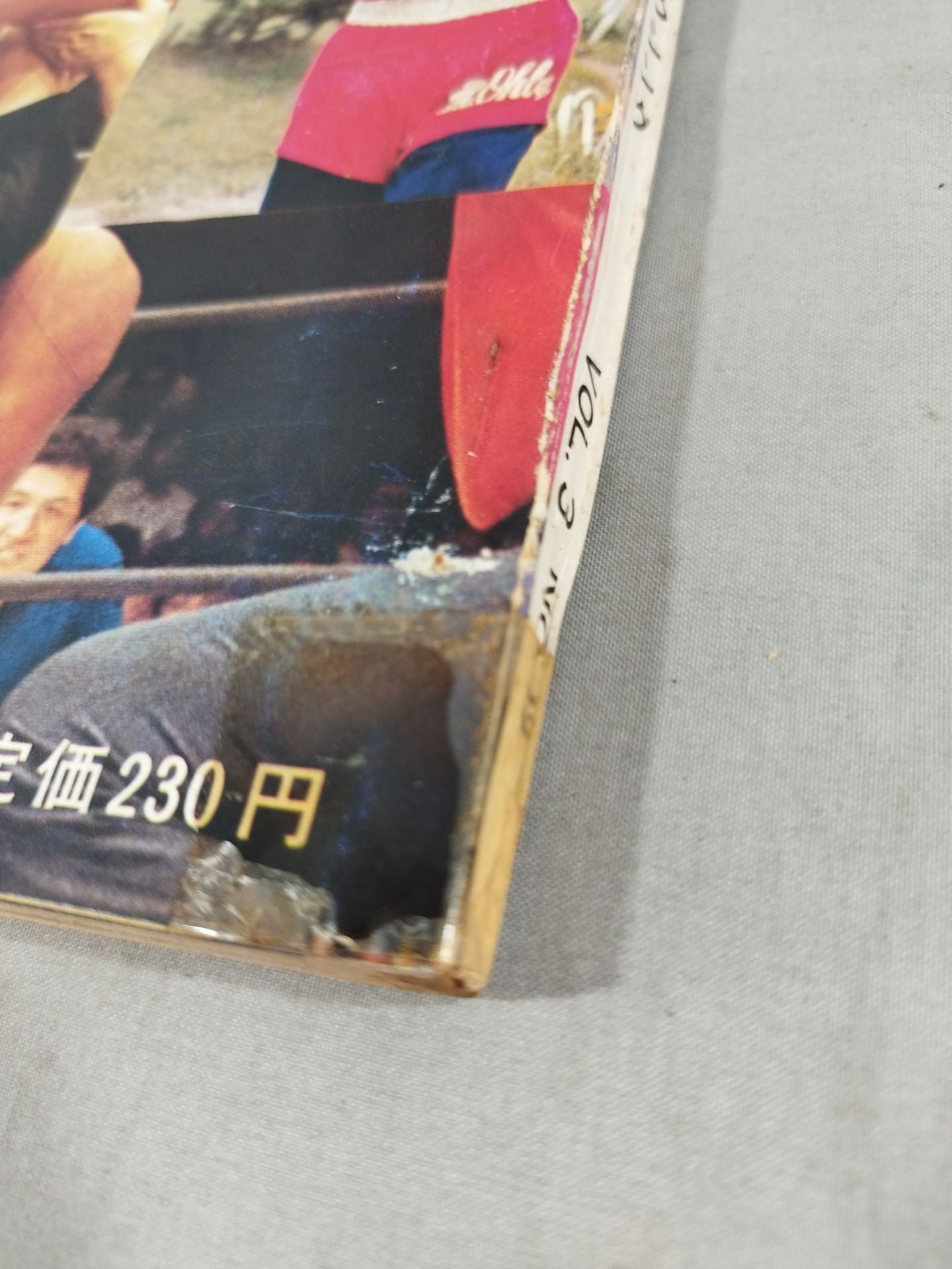 月刊ゴングVol.3 No.13