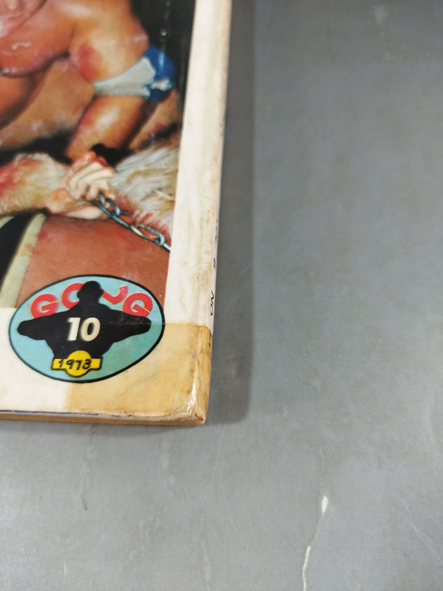 Monthly Gong Vol.6 No.11