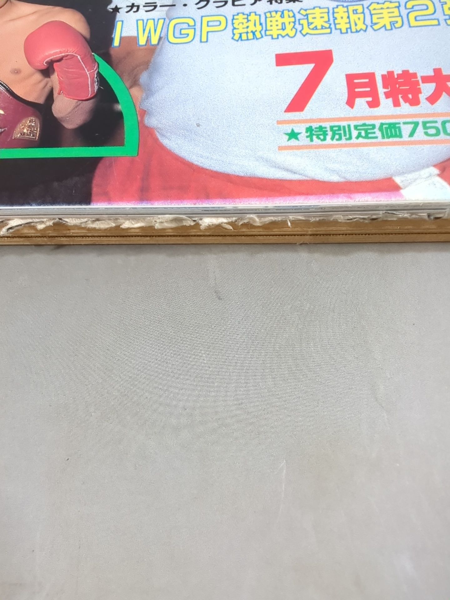 月刊ゴングVol.16 No.7