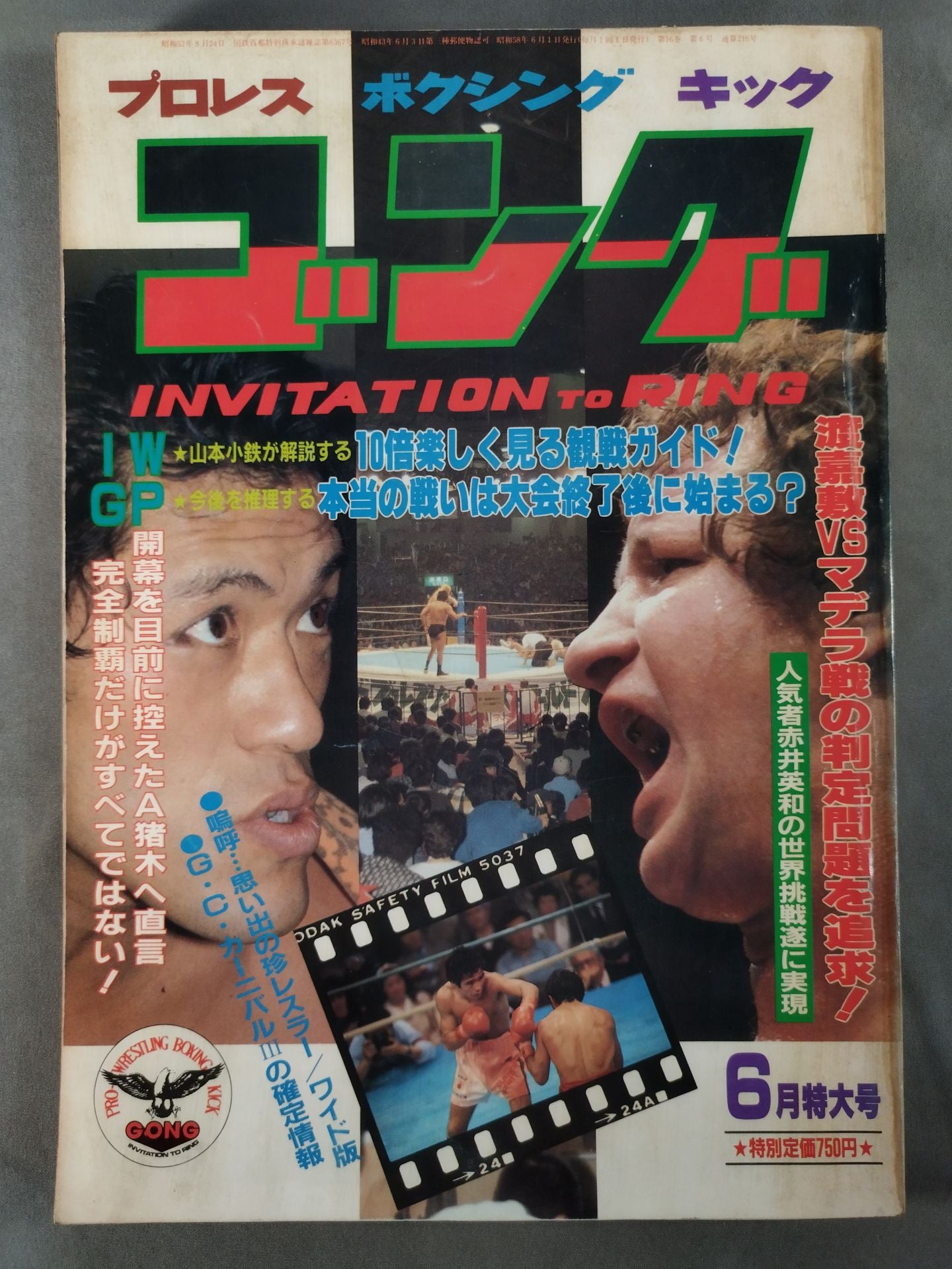 月刊ゴングVol.16 No.6