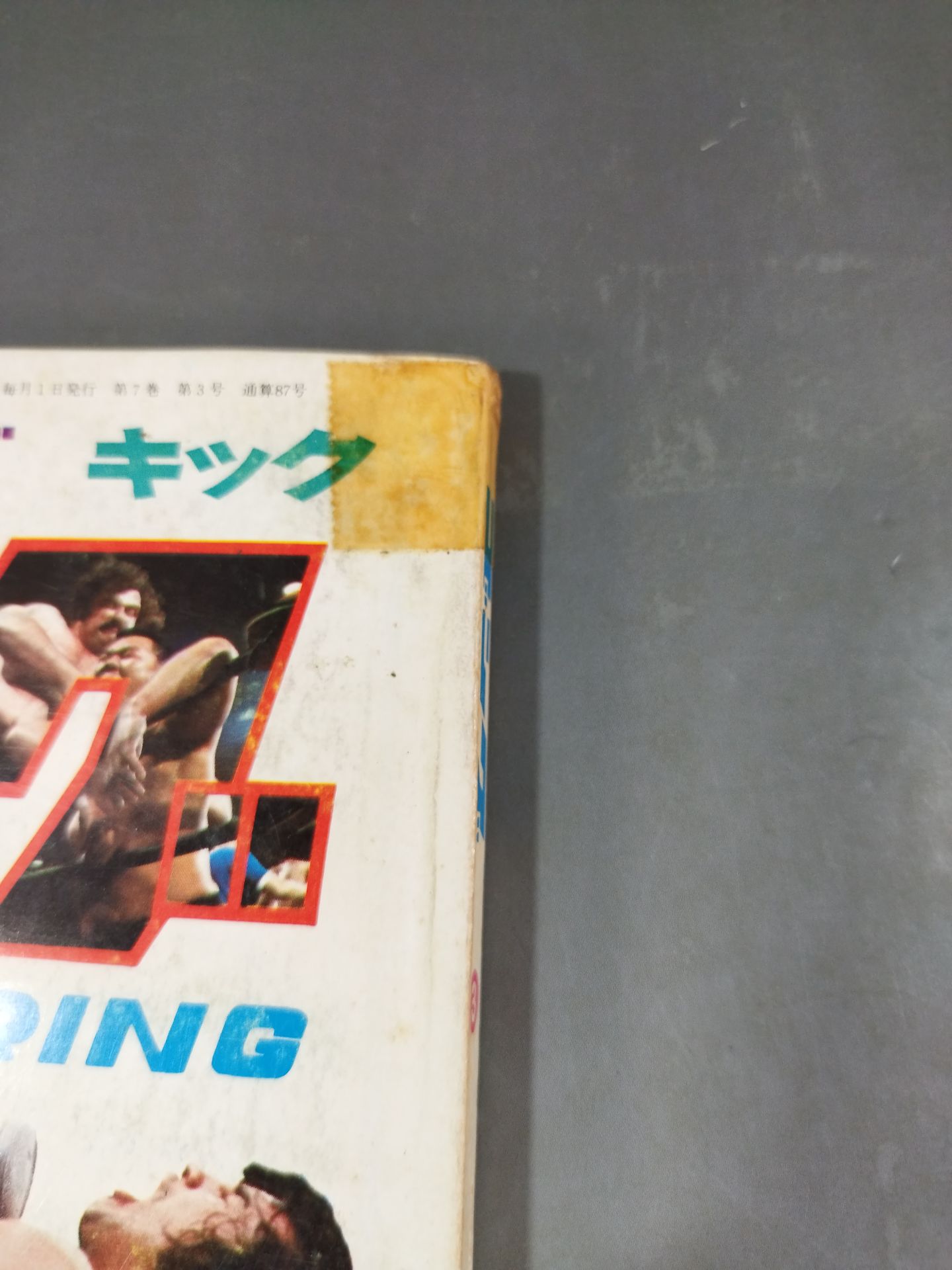 Monthly Gong Vol.7 No.3