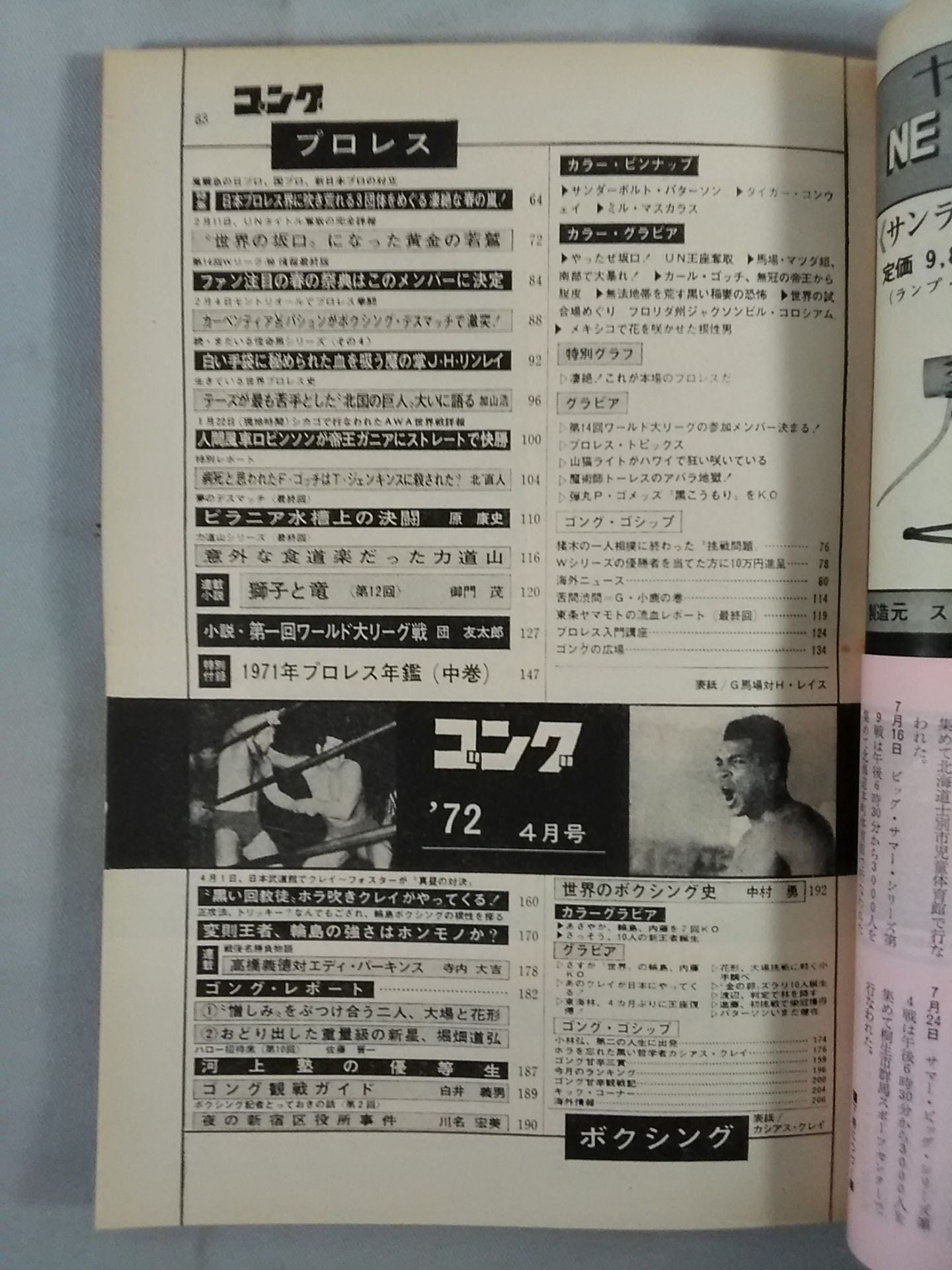 月刊ゴングVol.5 No.4