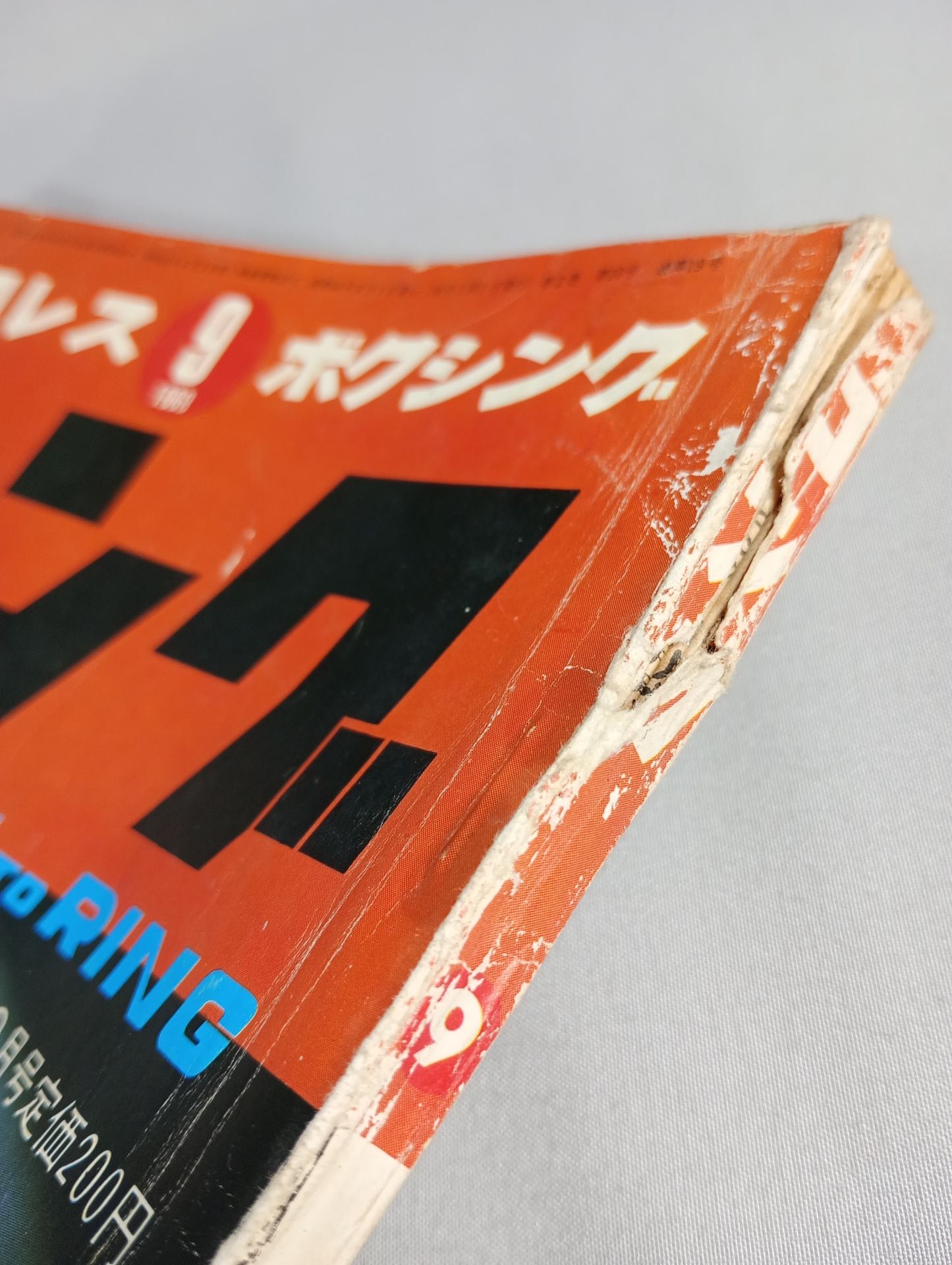 月刊ゴングVol.2 No.10