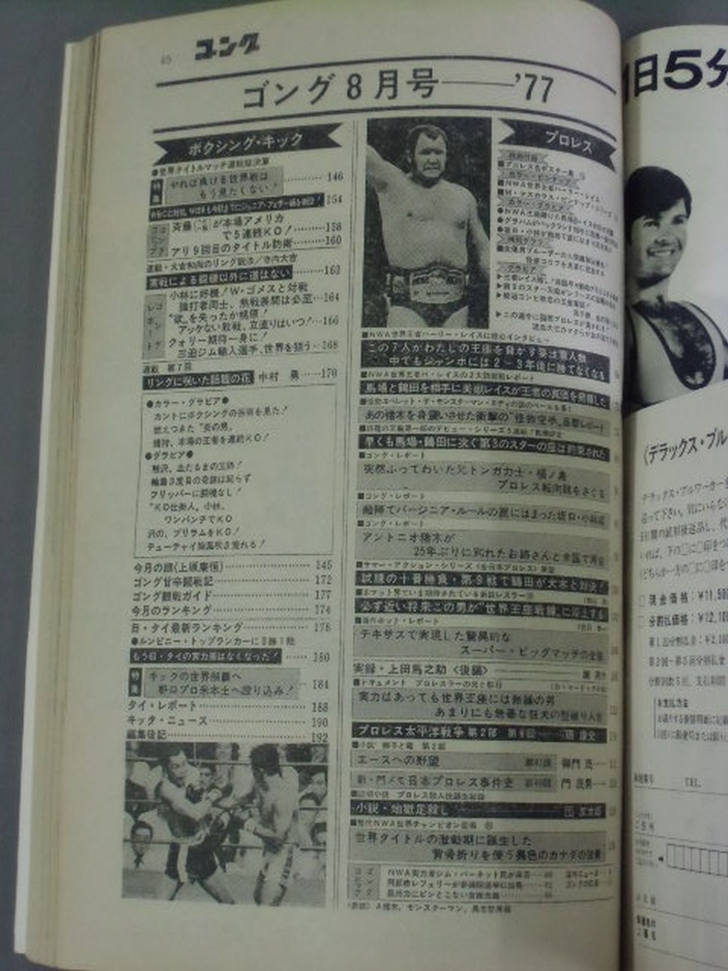 月刊ゴングVol.10 No.13