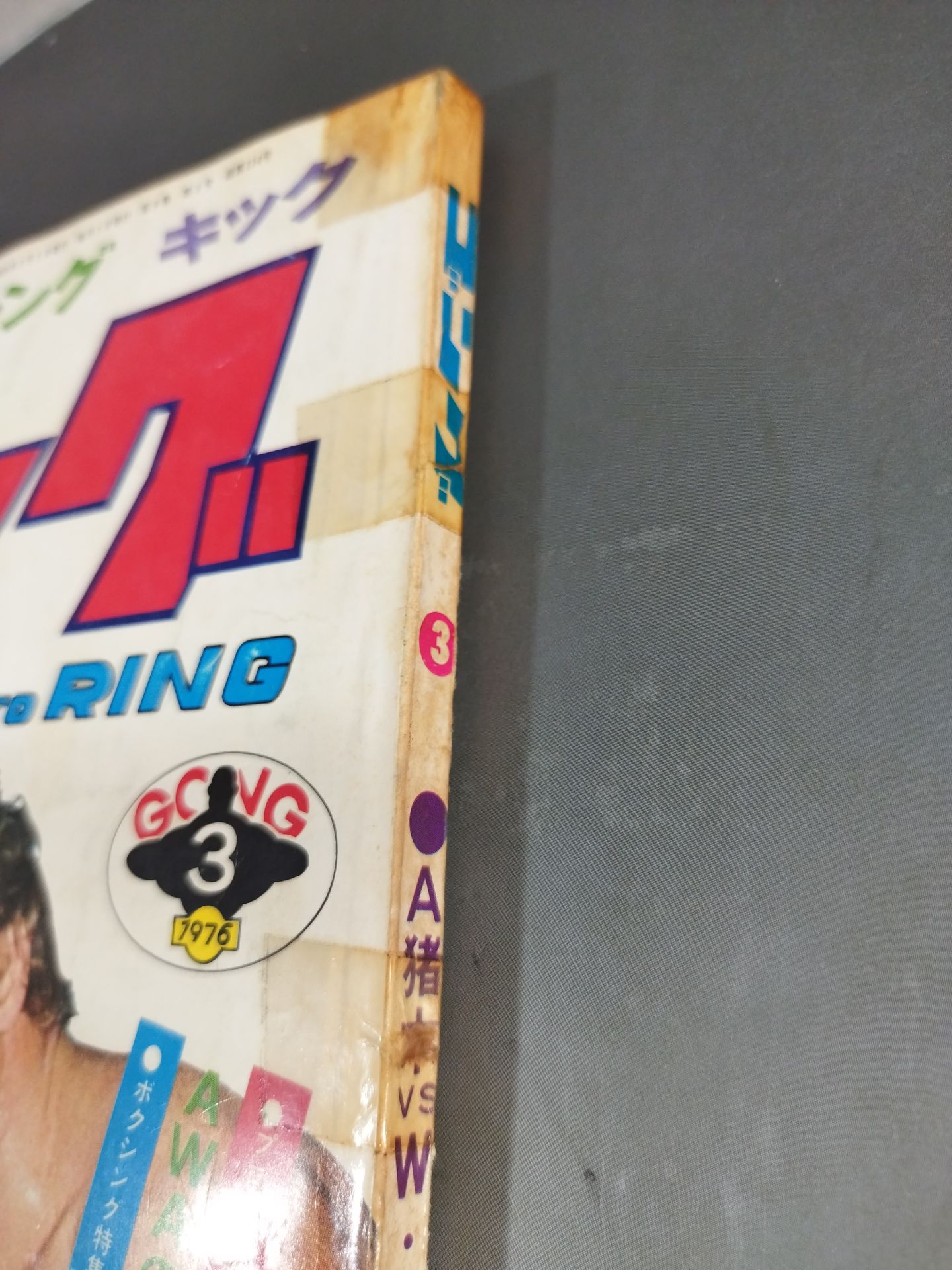 Monthly Gong Vol.9 No.3