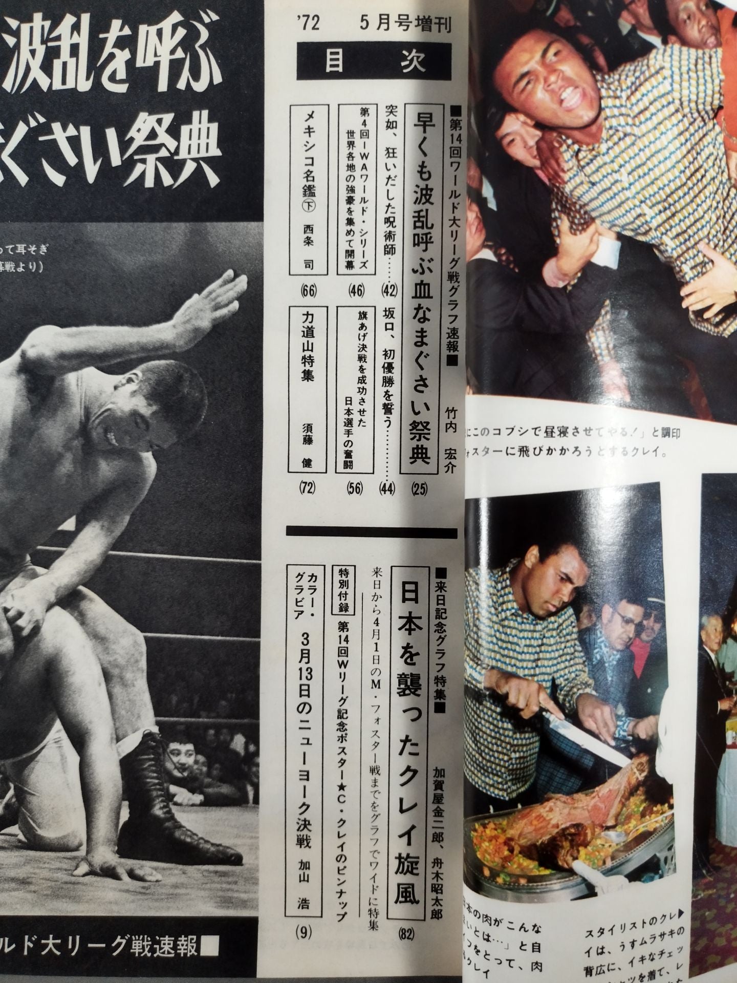 月刊ゴングVol.5 No.6増刊