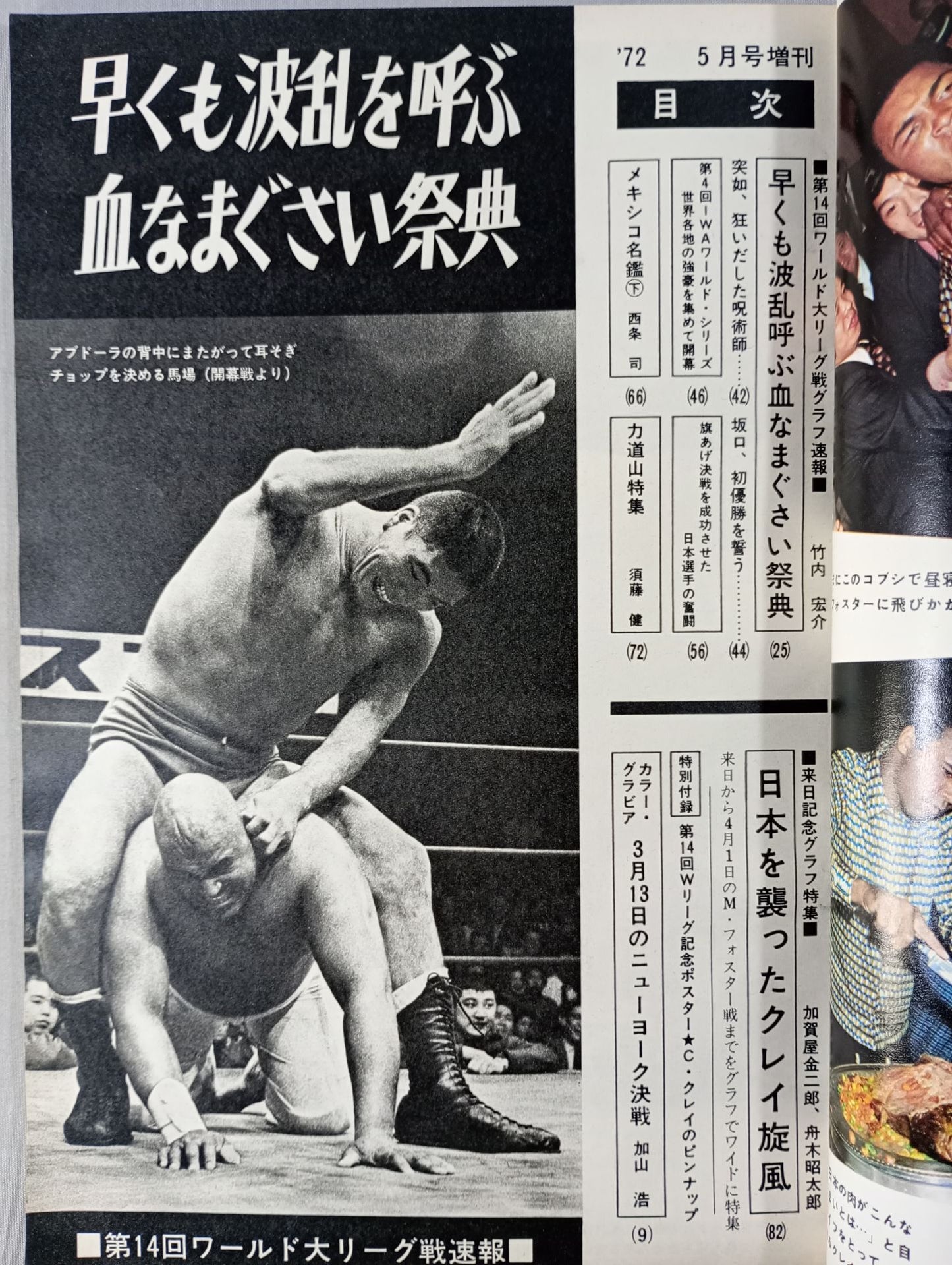 月刊ゴングVol.5 No.6増刊