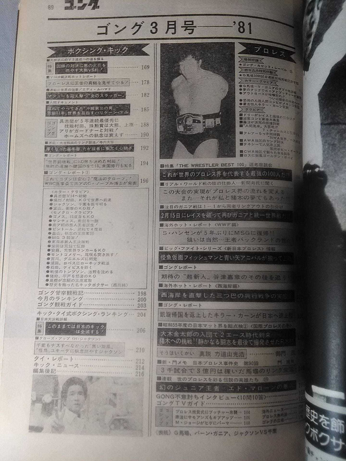 月刊ゴングVol.14 No.3