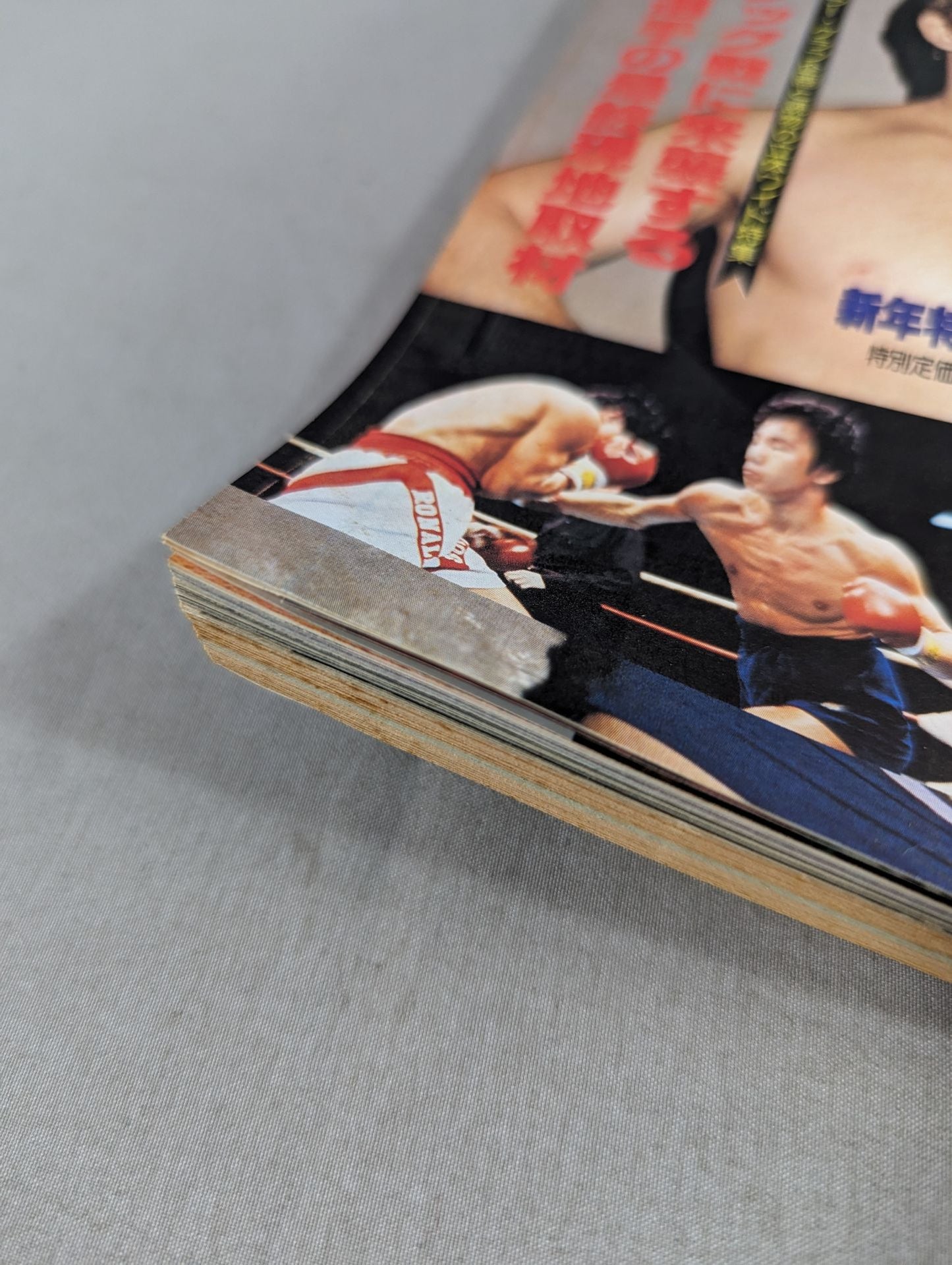 月刊ゴングVol.14 No.1