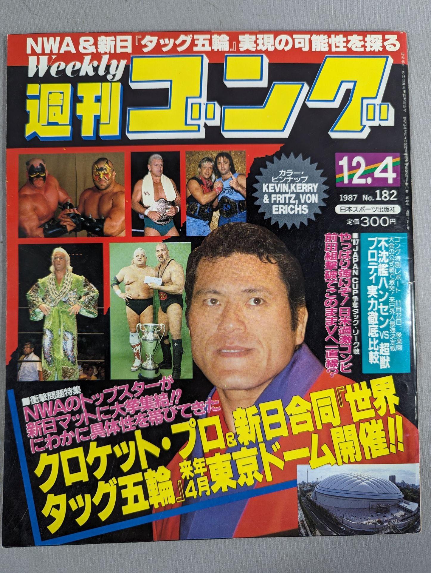 週刊ゴング182 – 闘道館