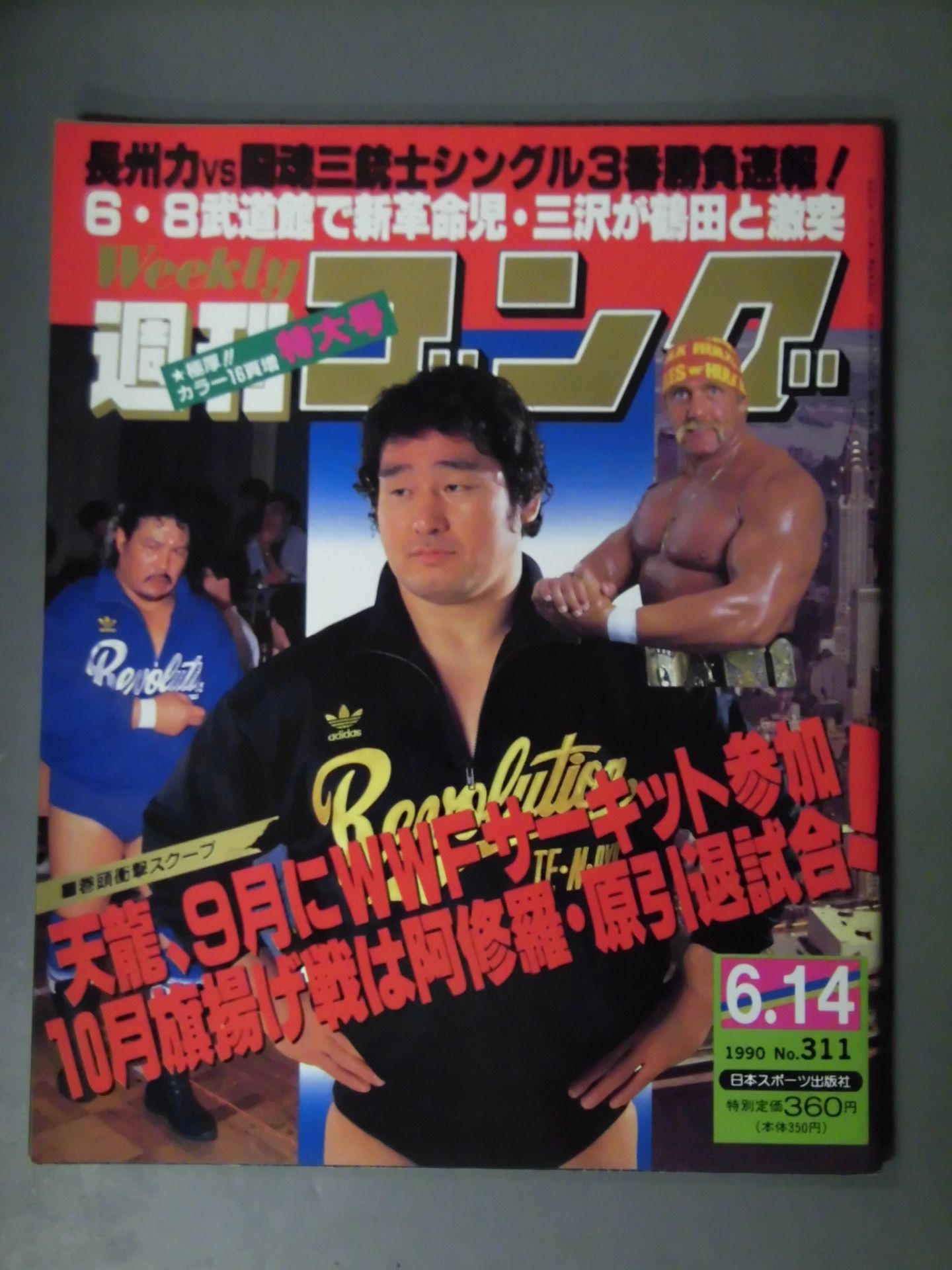 週刊ゴング311 – 闘道館