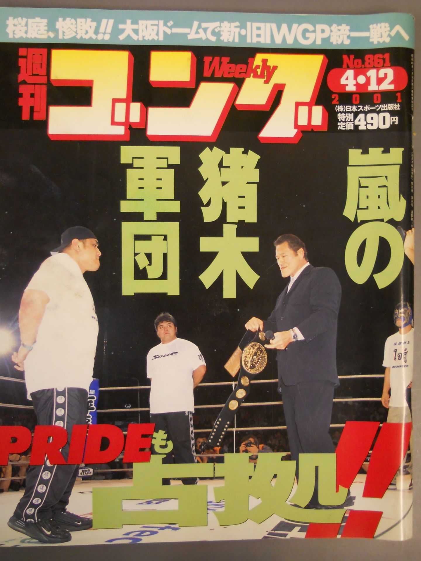 週刊ゴング861 – 闘道館