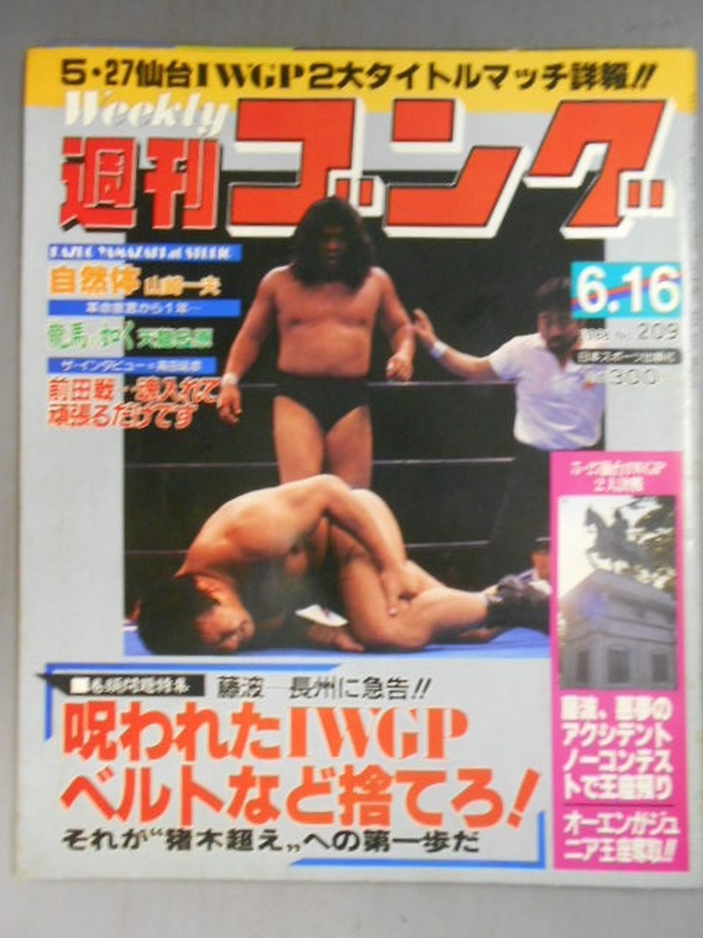 週刊ゴング209 – 闘道館