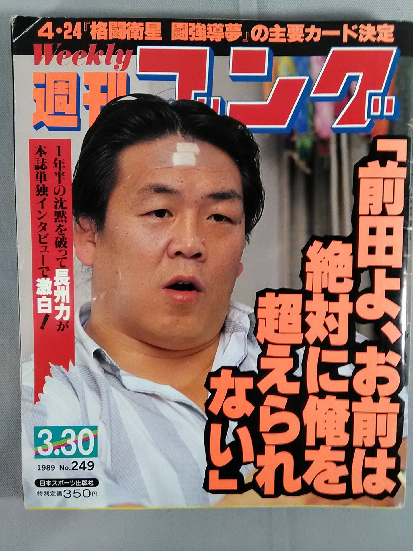 週刊ゴング 1000号(2003年12月25日号) 週刊ゴング249 – 闘道館