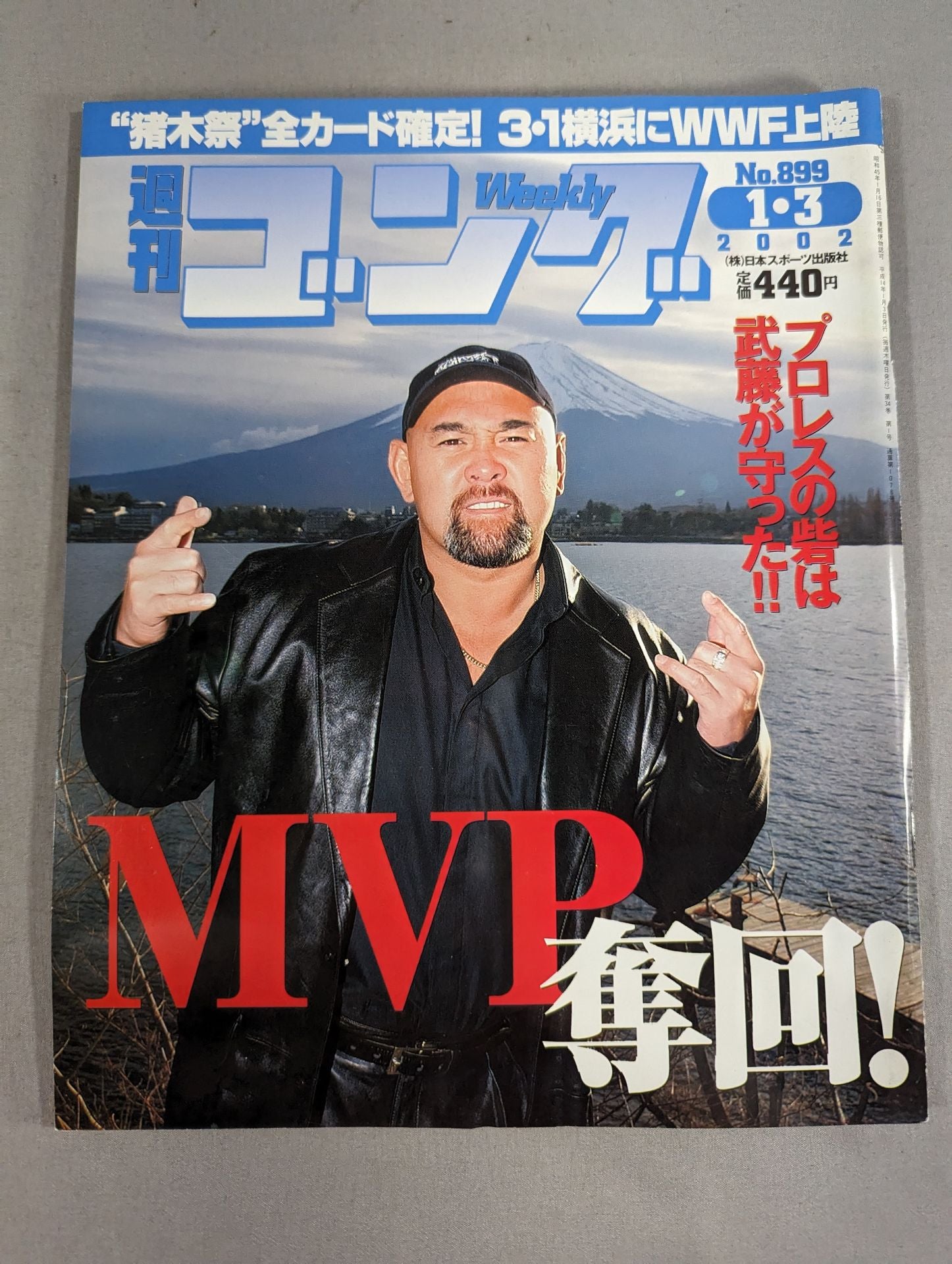 週刊ゴング899 – 闘道館