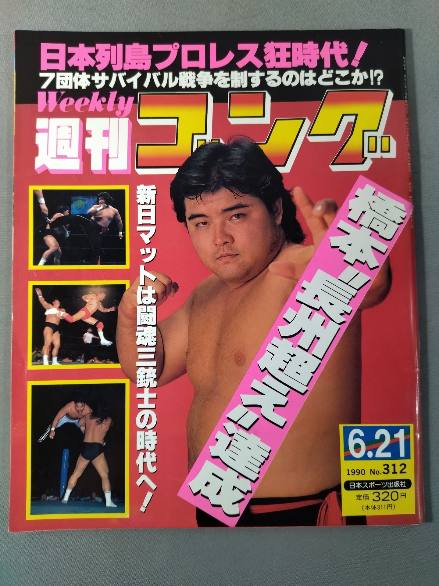 週刊ゴング312 – 闘道館