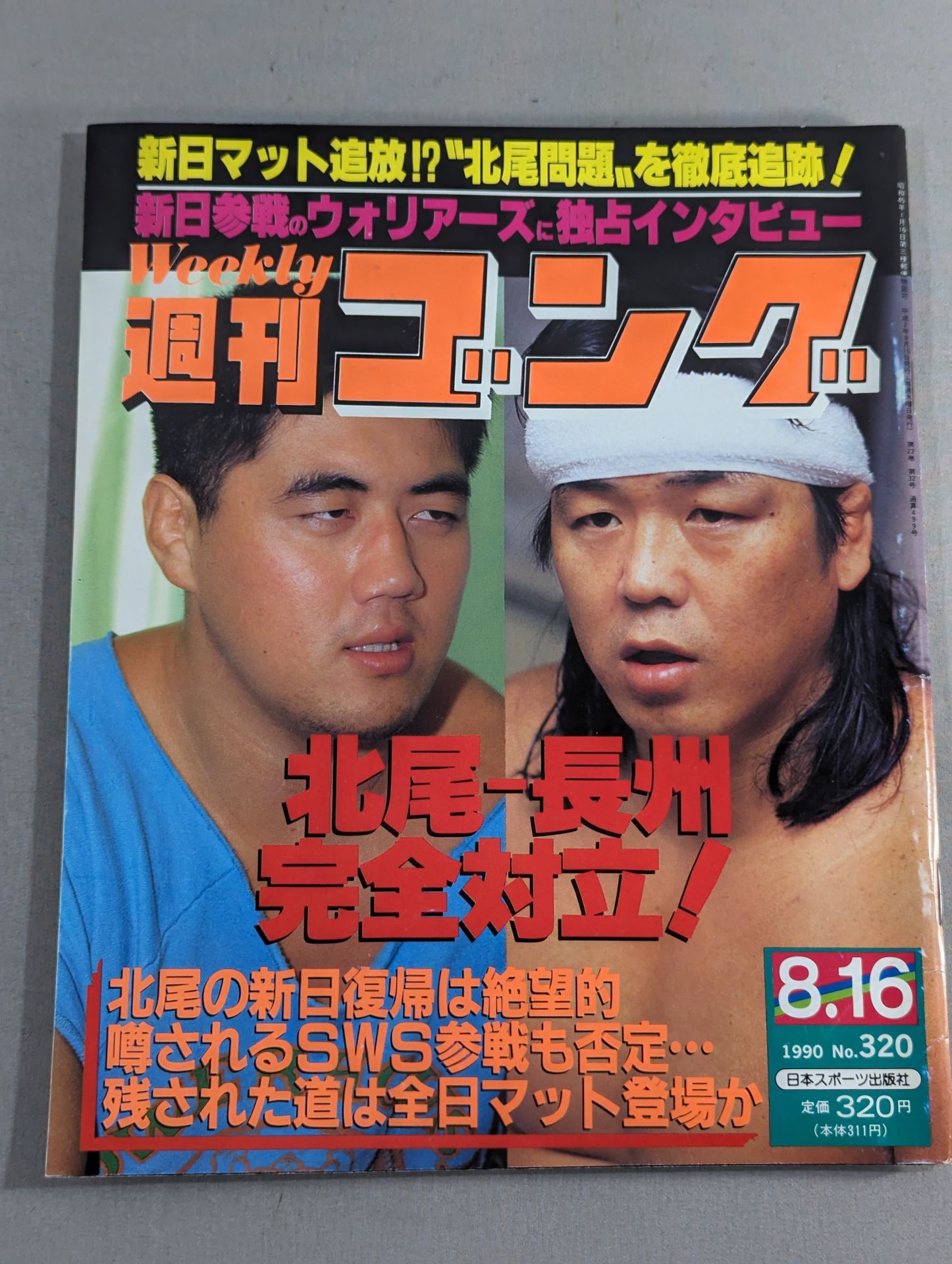 週刊ゴング320 – 闘道館