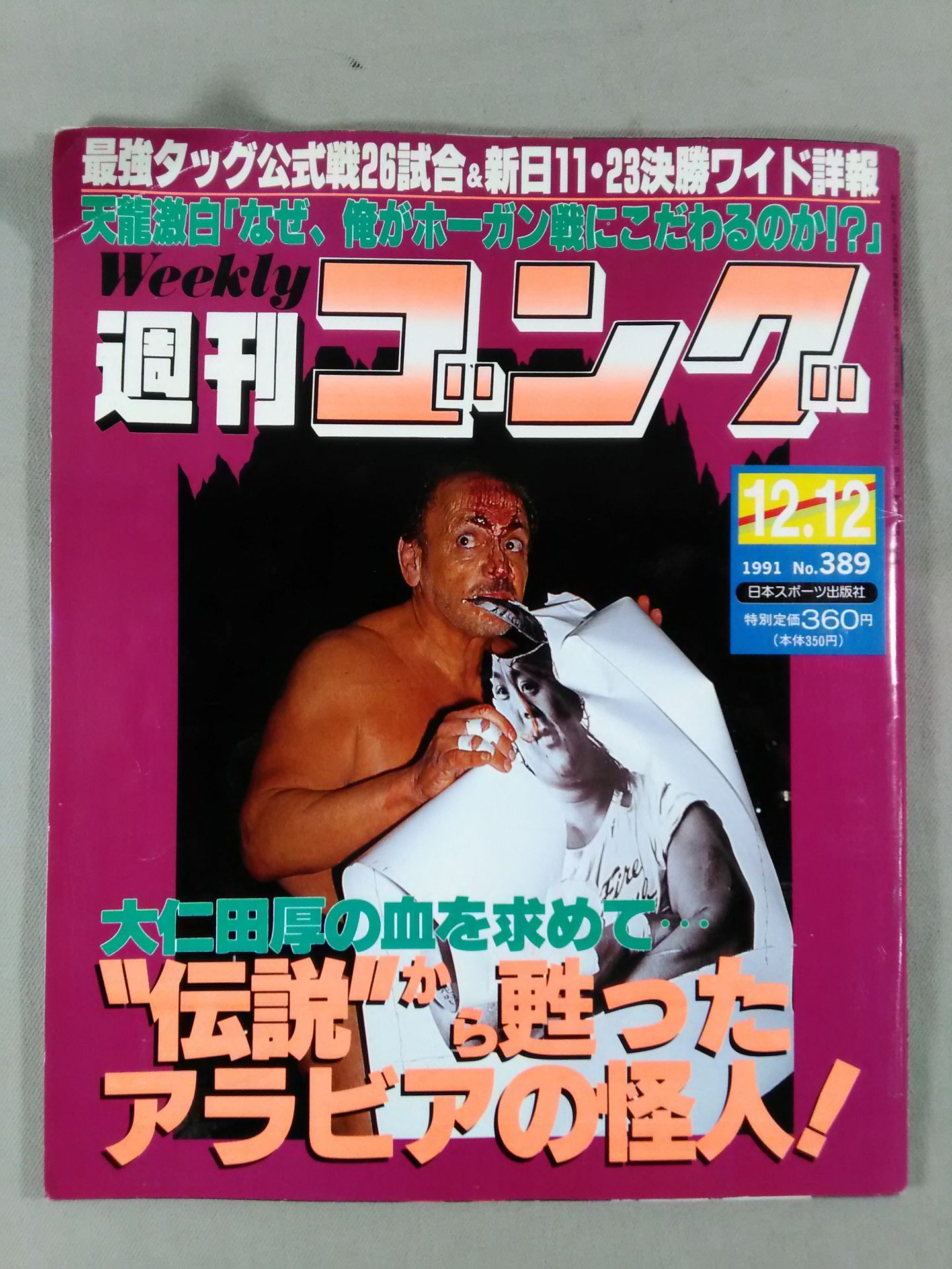 週刊ゴング389 – 闘道館