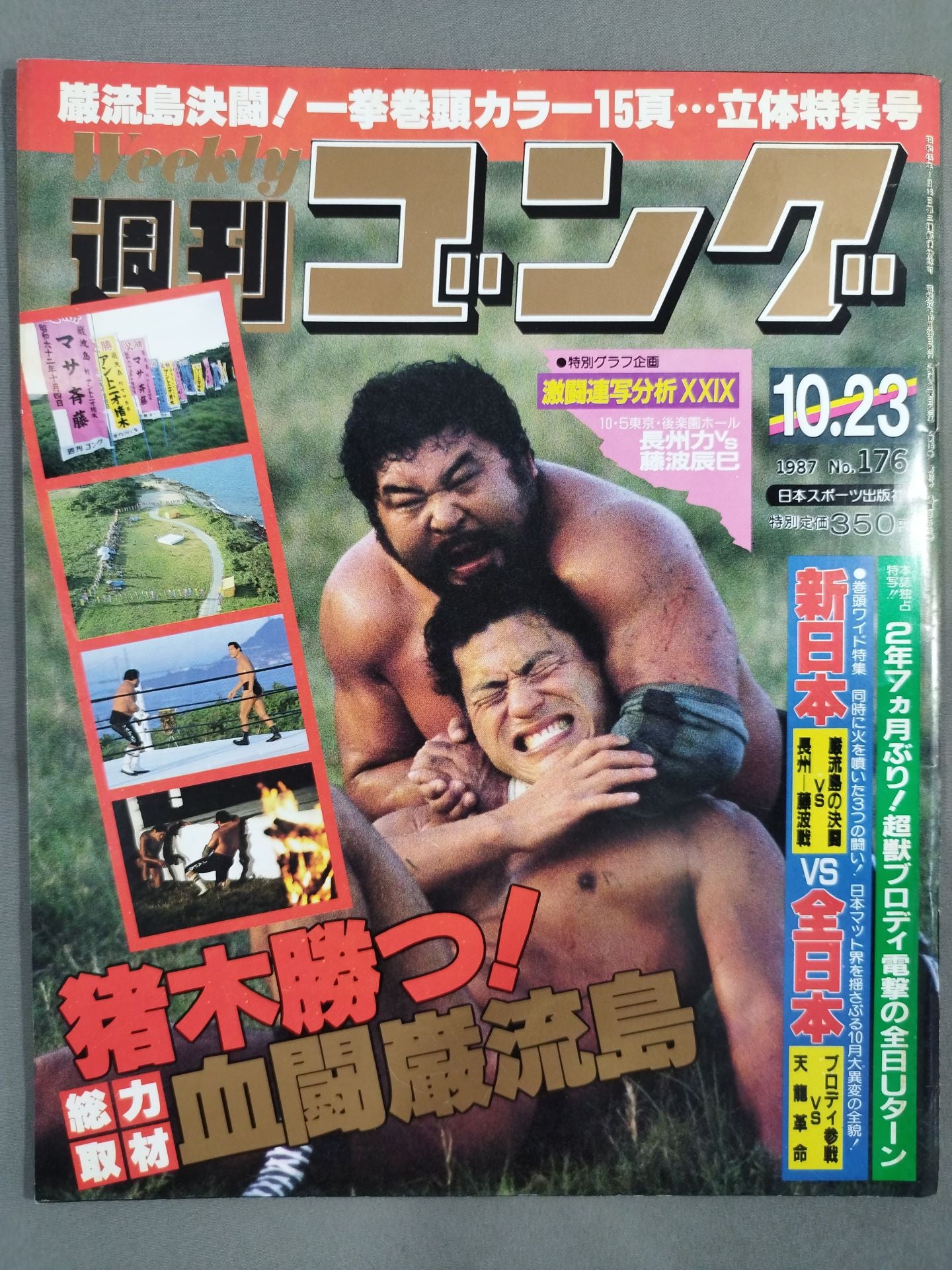 週刊ゴング176 – 闘道館