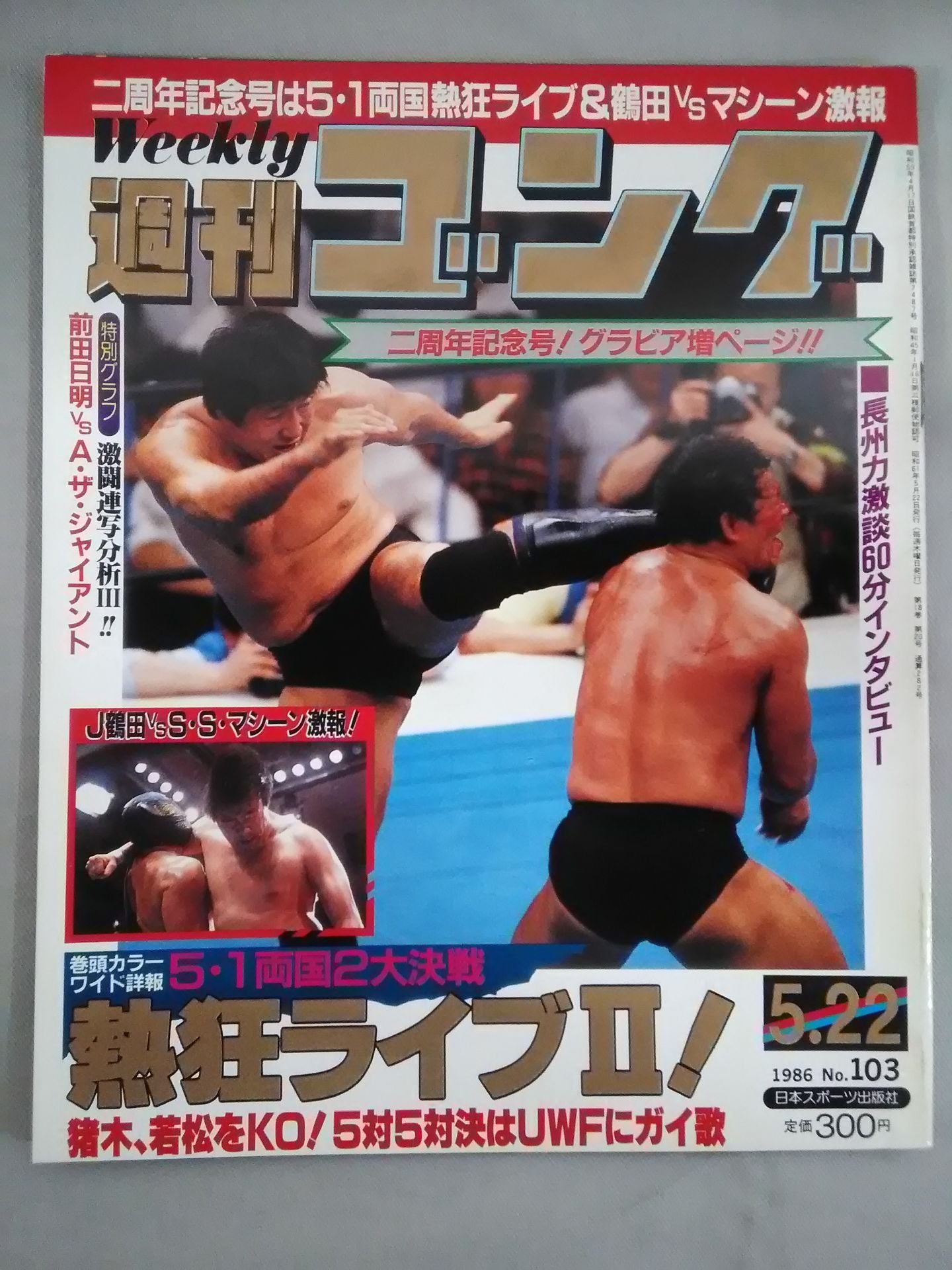 週刊ゴング103 – 闘道館