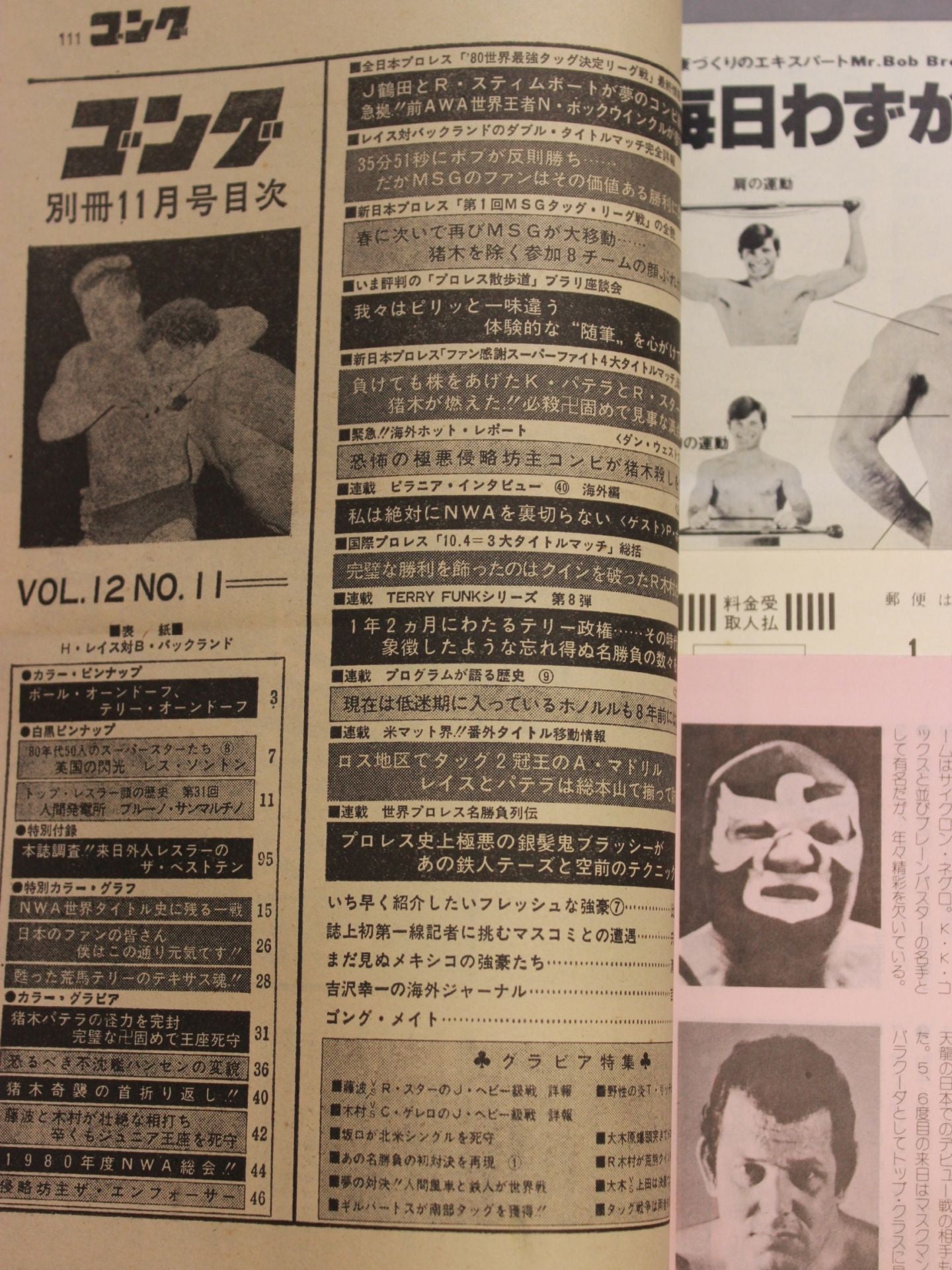 別冊ゴングVol.12 No.11