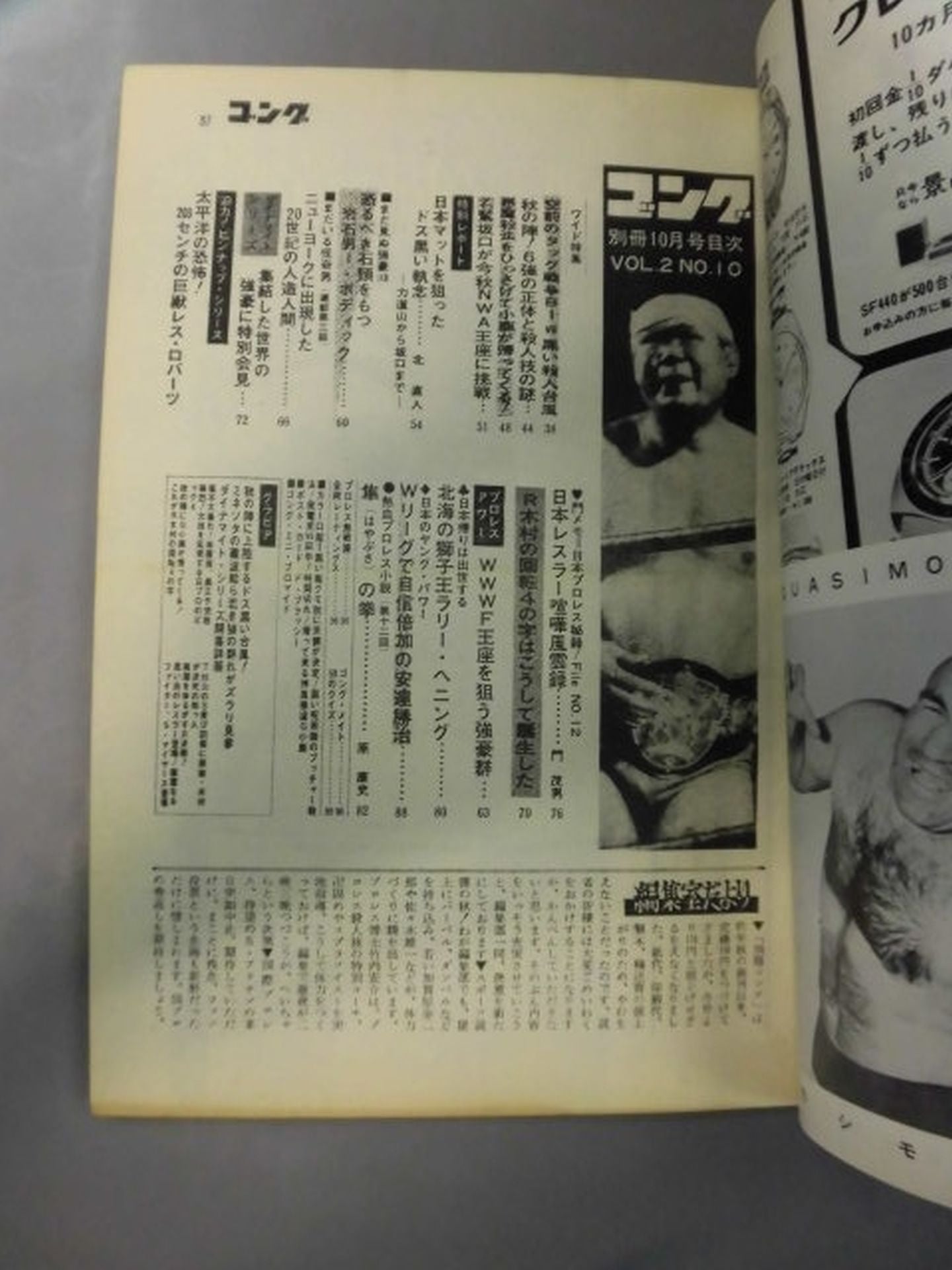 別冊ゴングVol.2 No.10