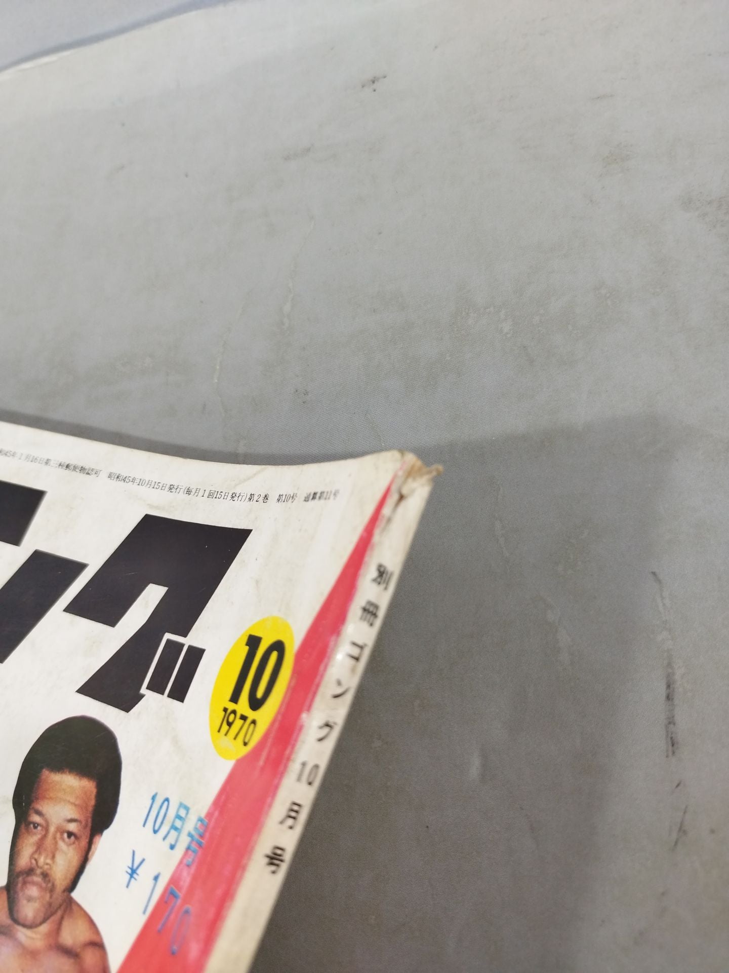 別冊ゴングVol.2 No.10