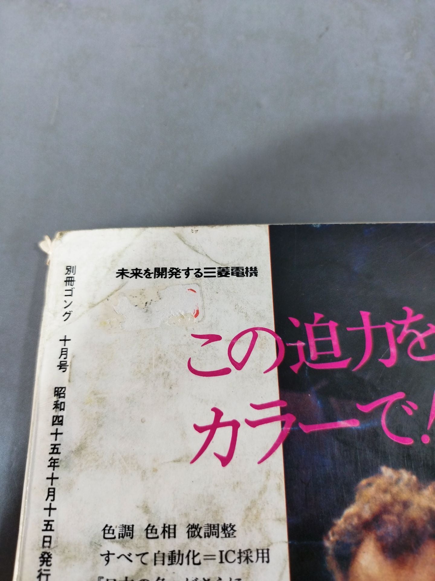 別冊ゴングVol.2 No.10