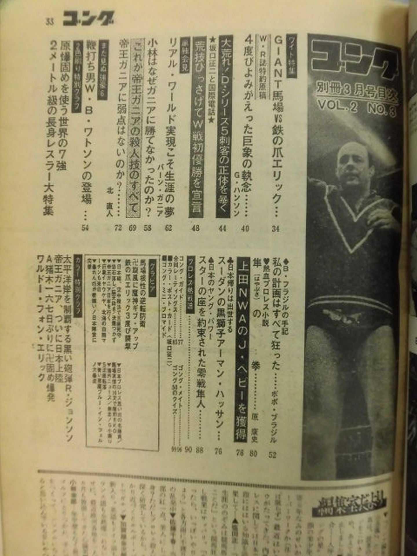 別冊ゴングVol.2 No.3