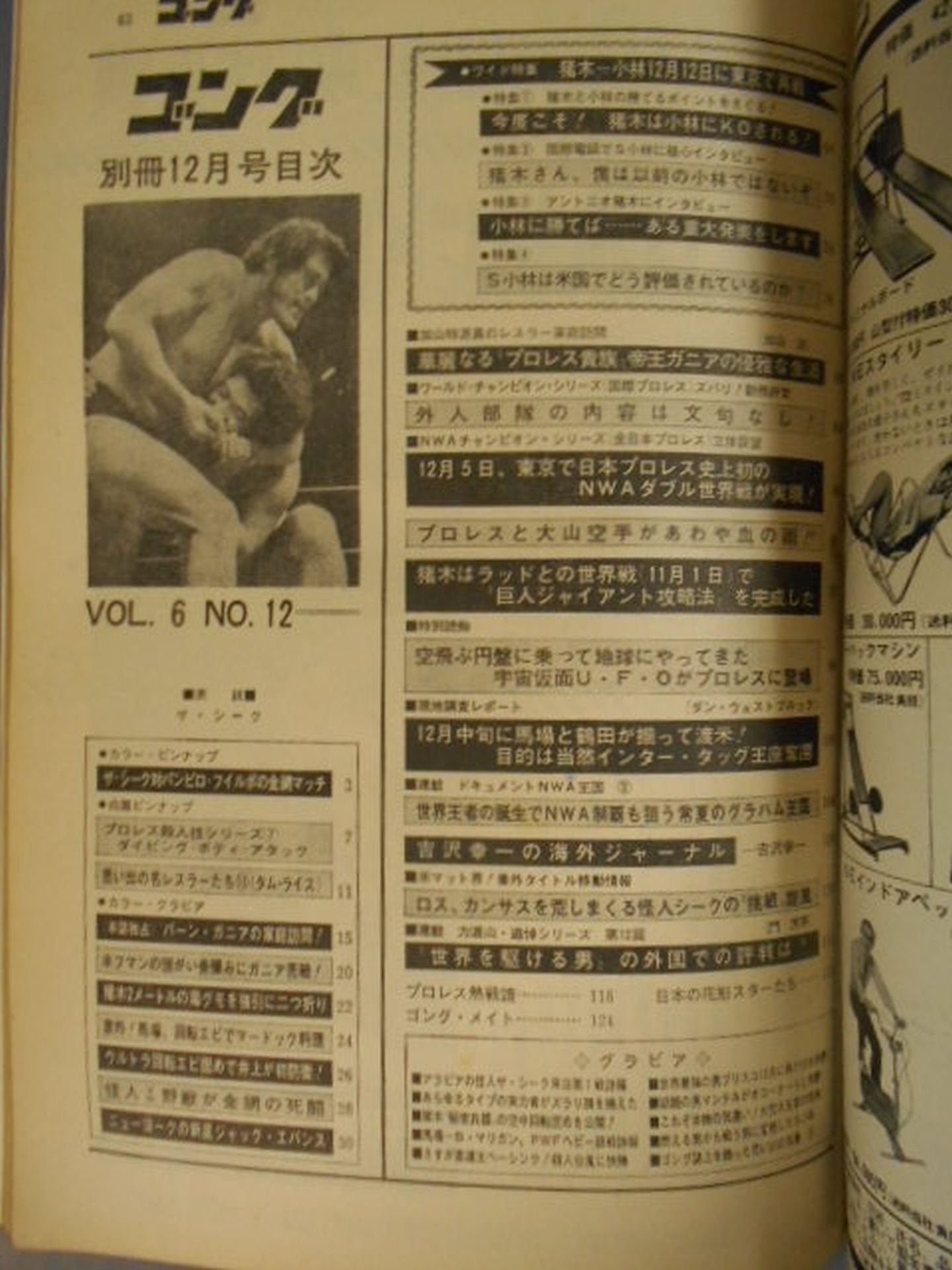 別冊ゴングVol.6 No.12