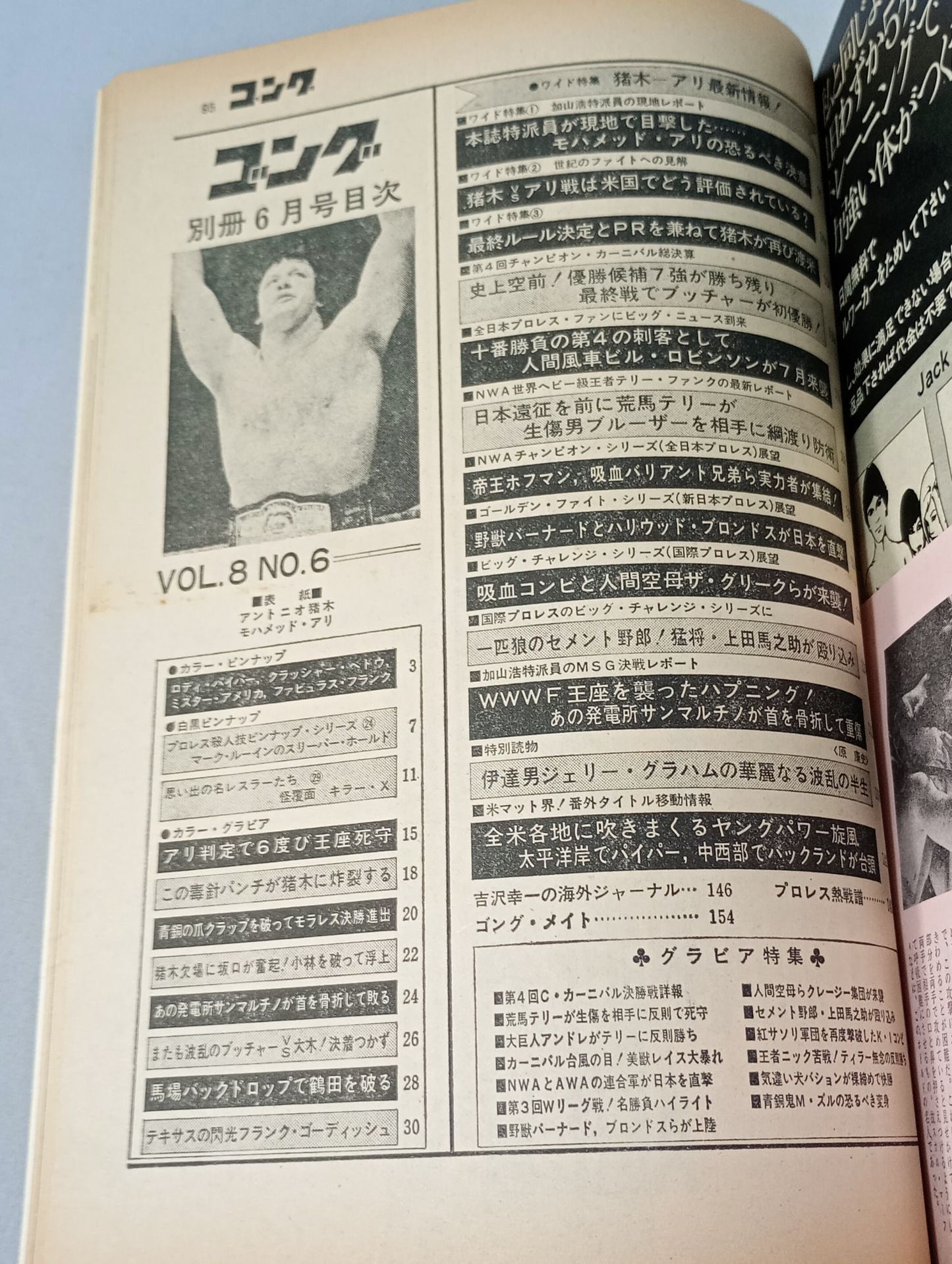 別冊ゴングVol.8 No.6