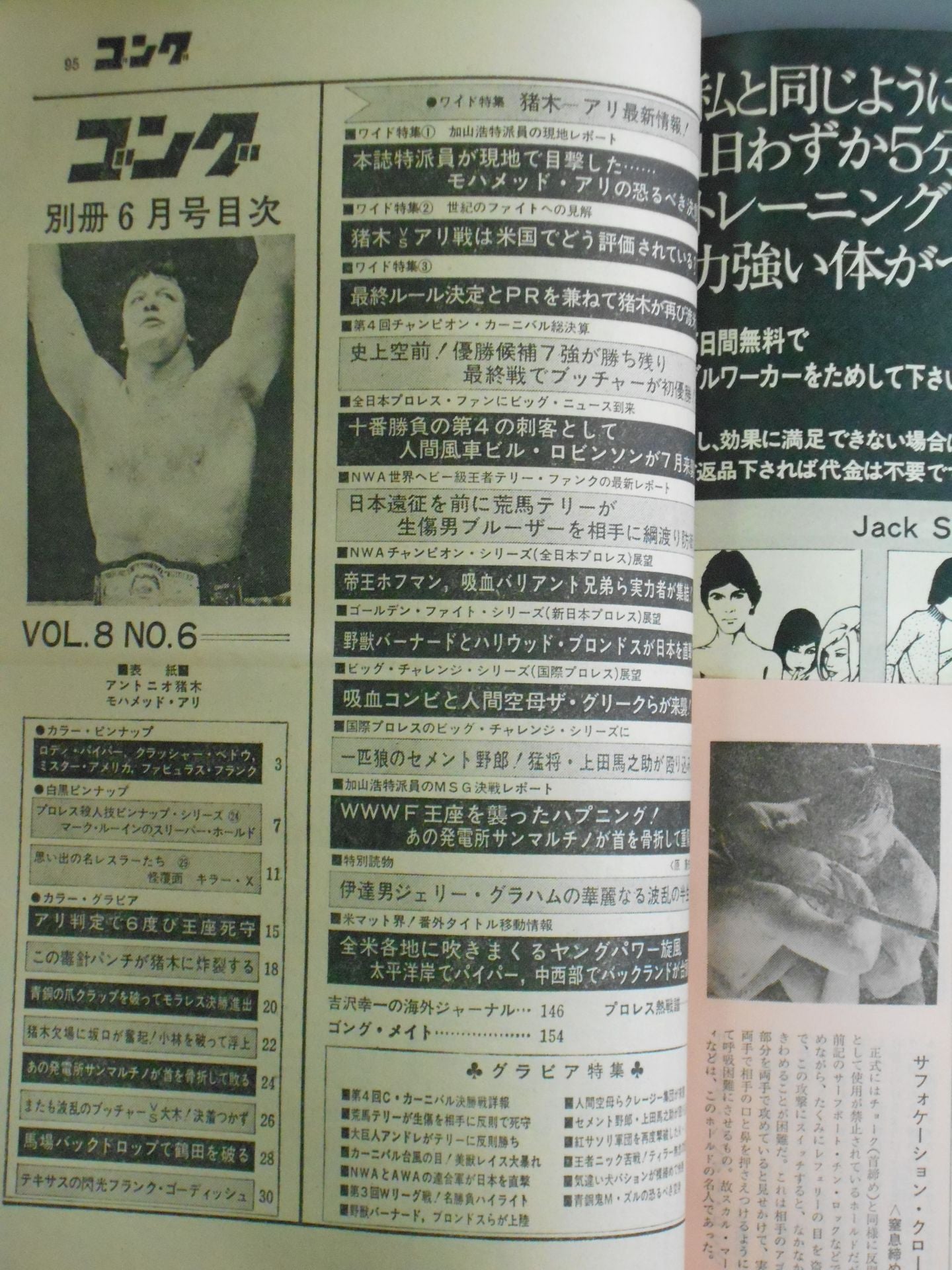 別冊ゴングVol.8 No.6