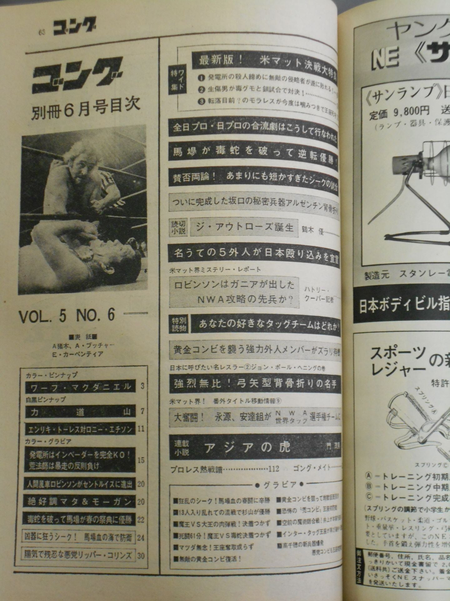 別冊ゴングVol.5 No.6