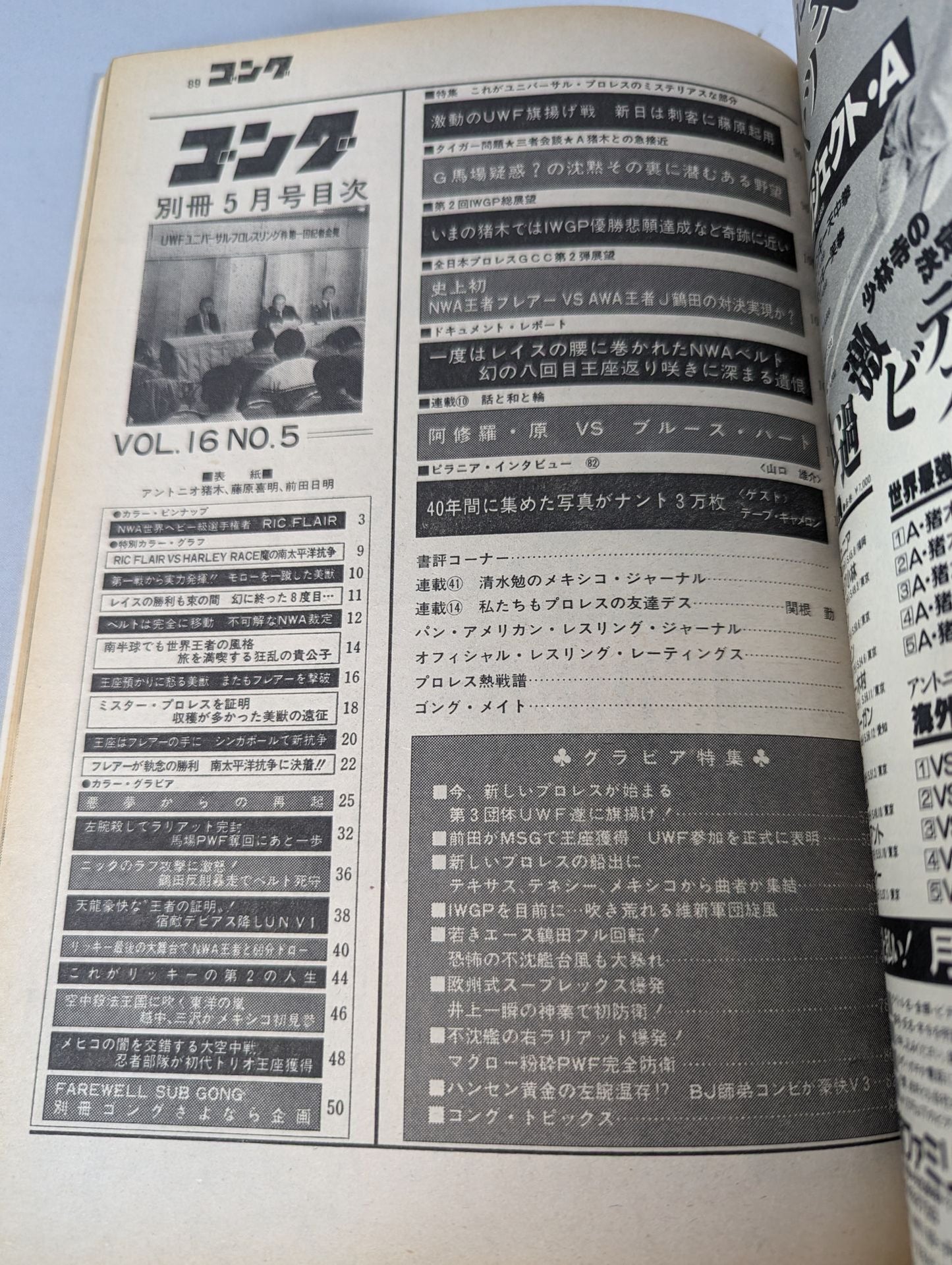 別冊ゴングVol.16 No.5